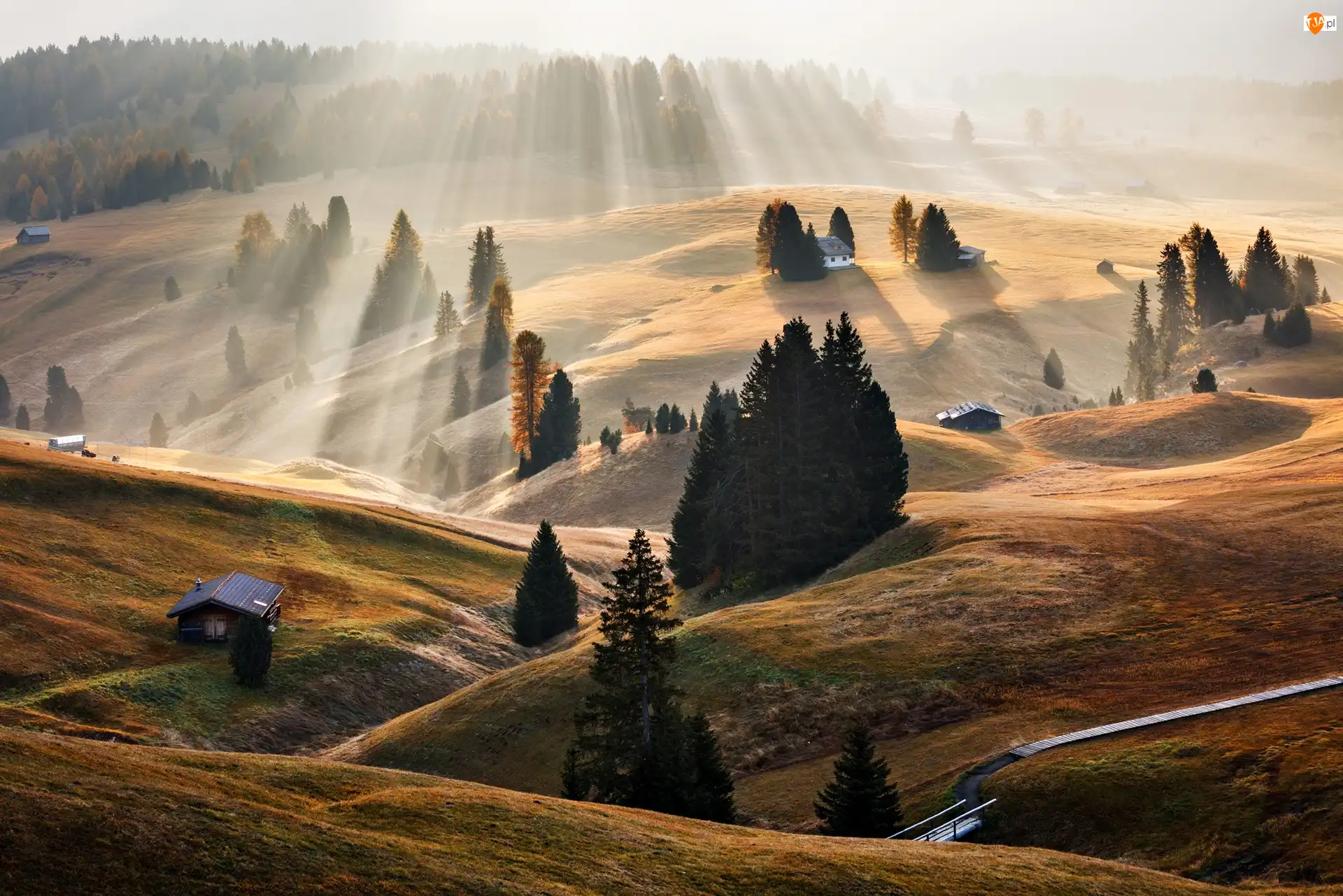 Dolomity, Dolina, Drzewa, Włochy, Domy, Promienie słońca, Świt