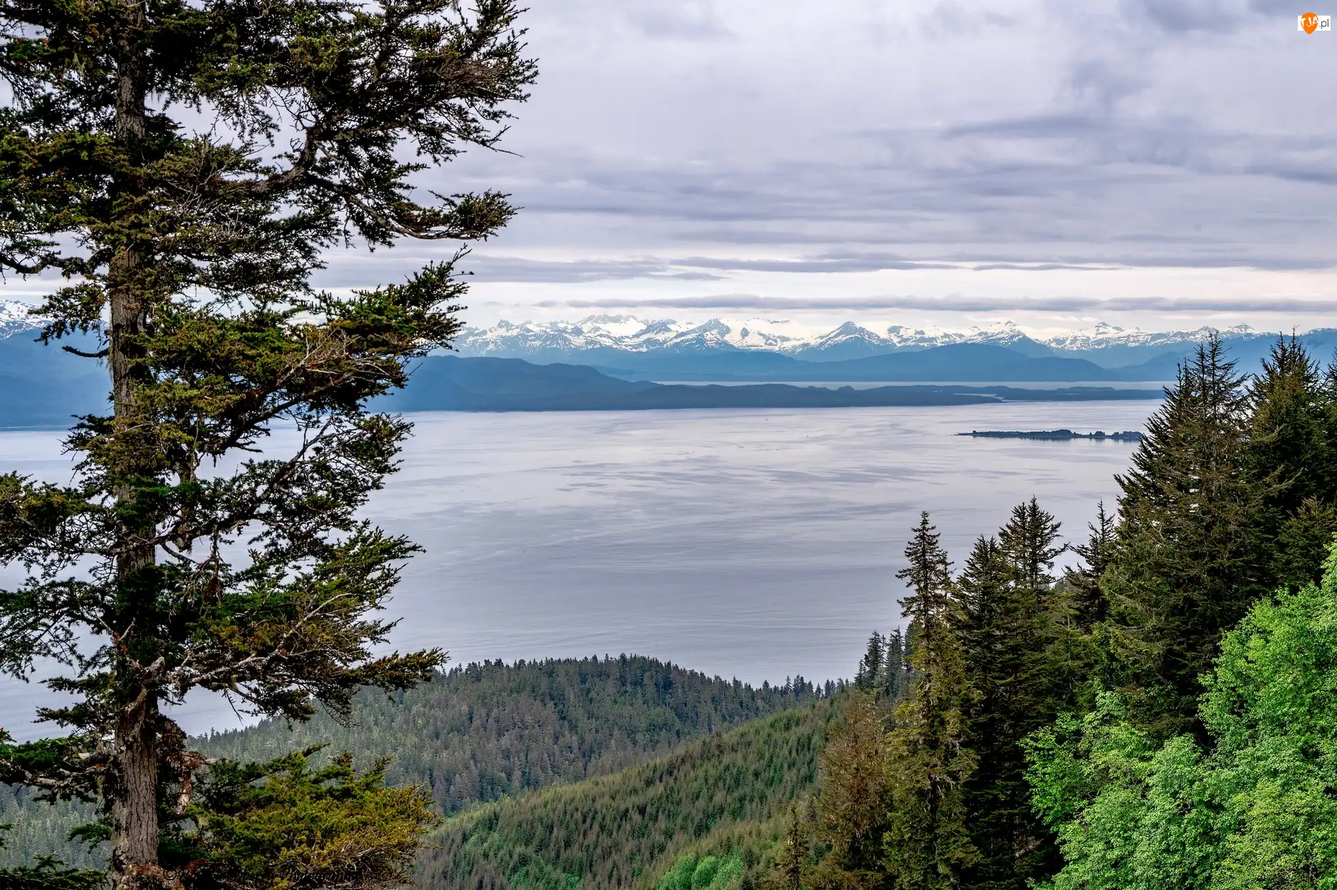 Jezioro, Drzewa, Alaska, Stany Zjednoczone, Góry