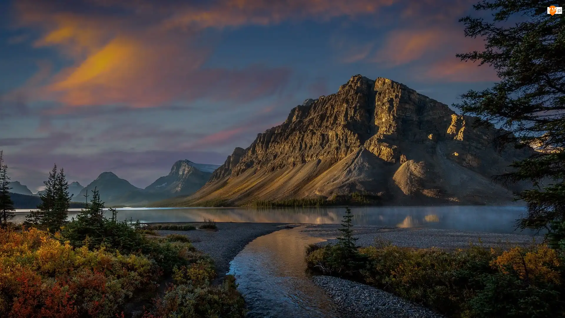 Kanada, Poranek, Rośliny, Bow Lake, Drzewo, Góry, Canadian Rockies, Park Narodowy Banff, Jezioro