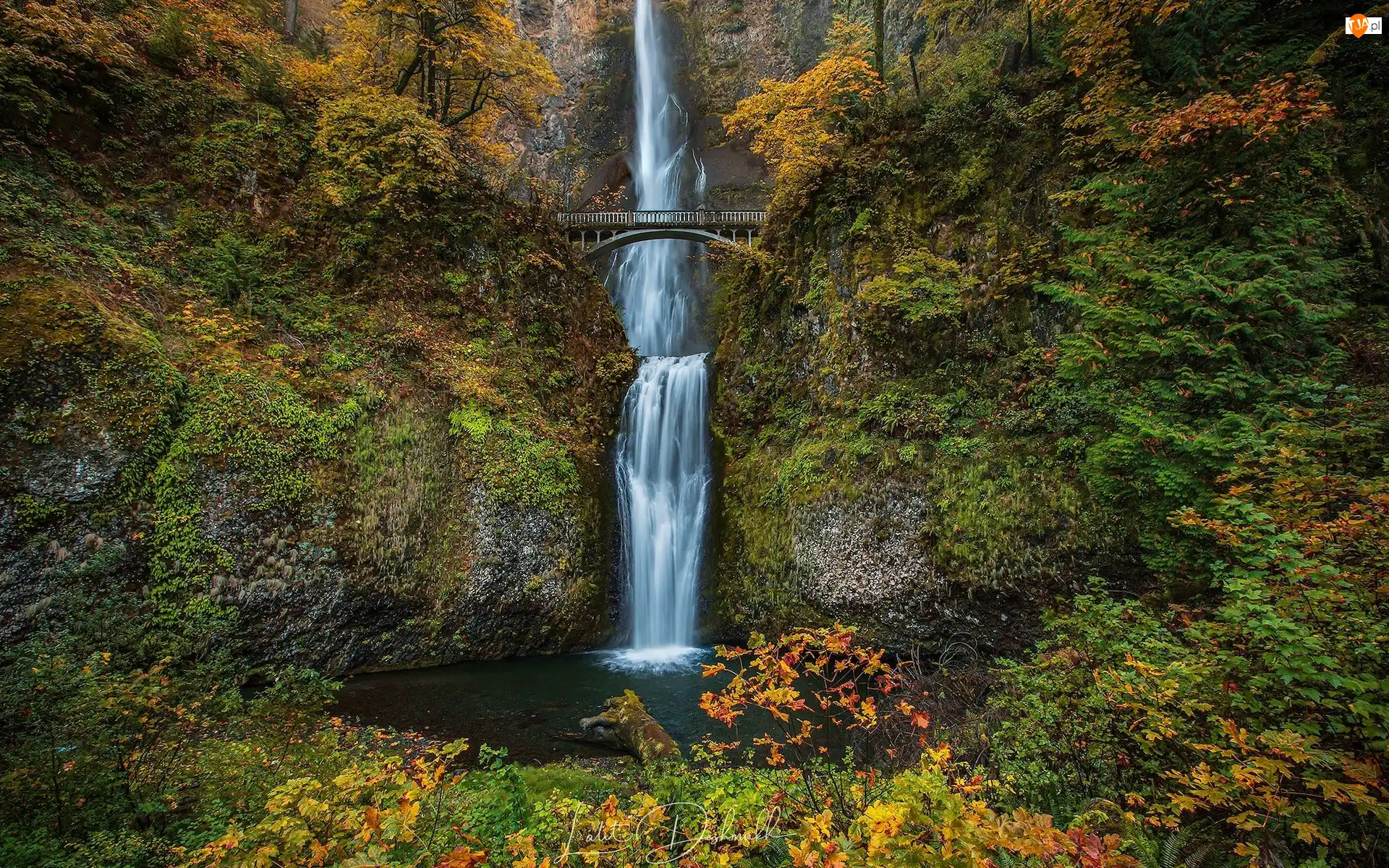 Hrabstwo Multnomah, Wodospad, Skały, Oregon, Multnomah Falls, Drzewa, Stany Zjednoczone, Most