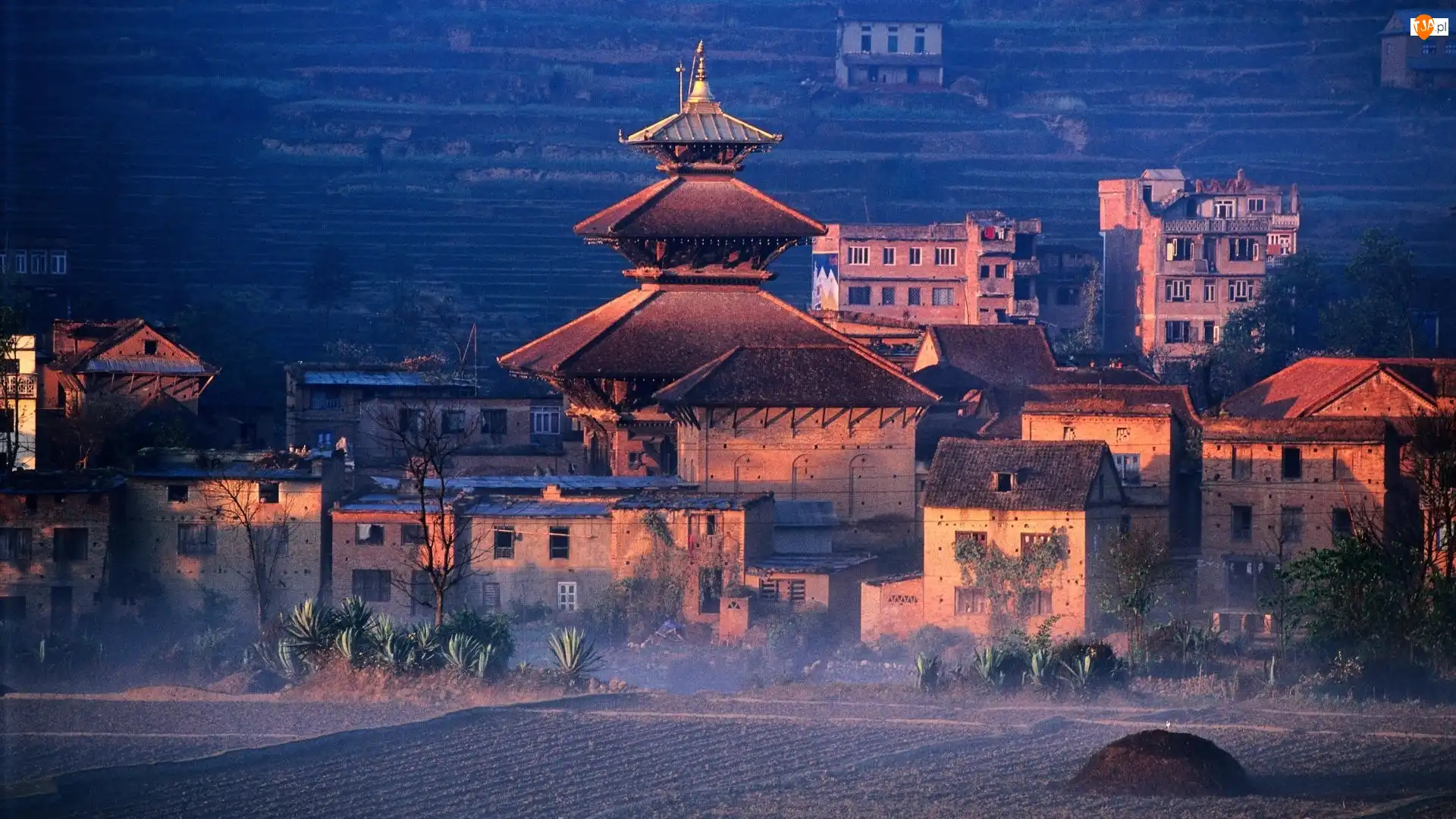Mgła, Nepal, Domy, Pole