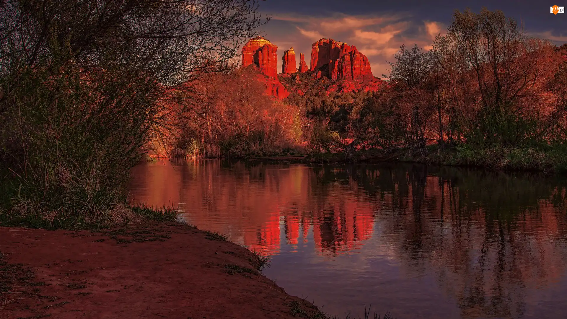Stany Zjednoczone, Odbicie, Sedona, Drzewa, Czerwone, Góry, Cathedral Rock, Skały, Rzeka, Arizona