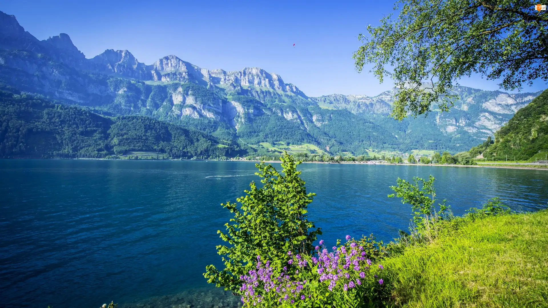 Jezioro, Lato, Góry