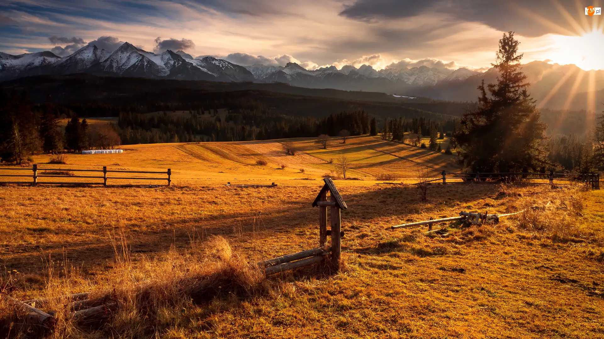 Pola, Drzewo, Polska, Jesień, Tatry, Góry, Promienie słońca