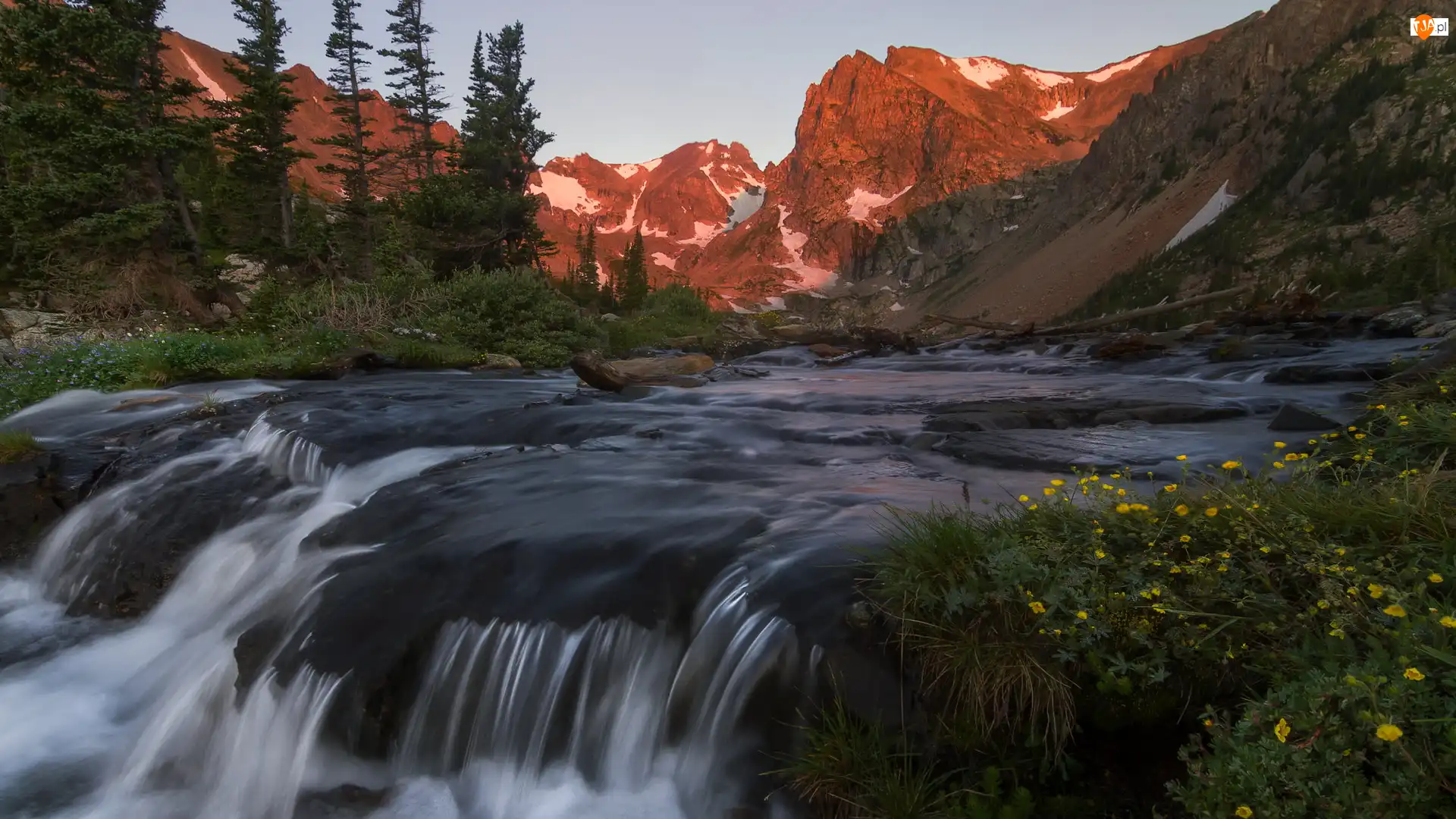 Rzeka, Drzewa, Stany Zjednoczone, Góry Skaliste, Kolorado, Park Narodowy Gór Skalistych, Teren Indian Peaks Wilderness