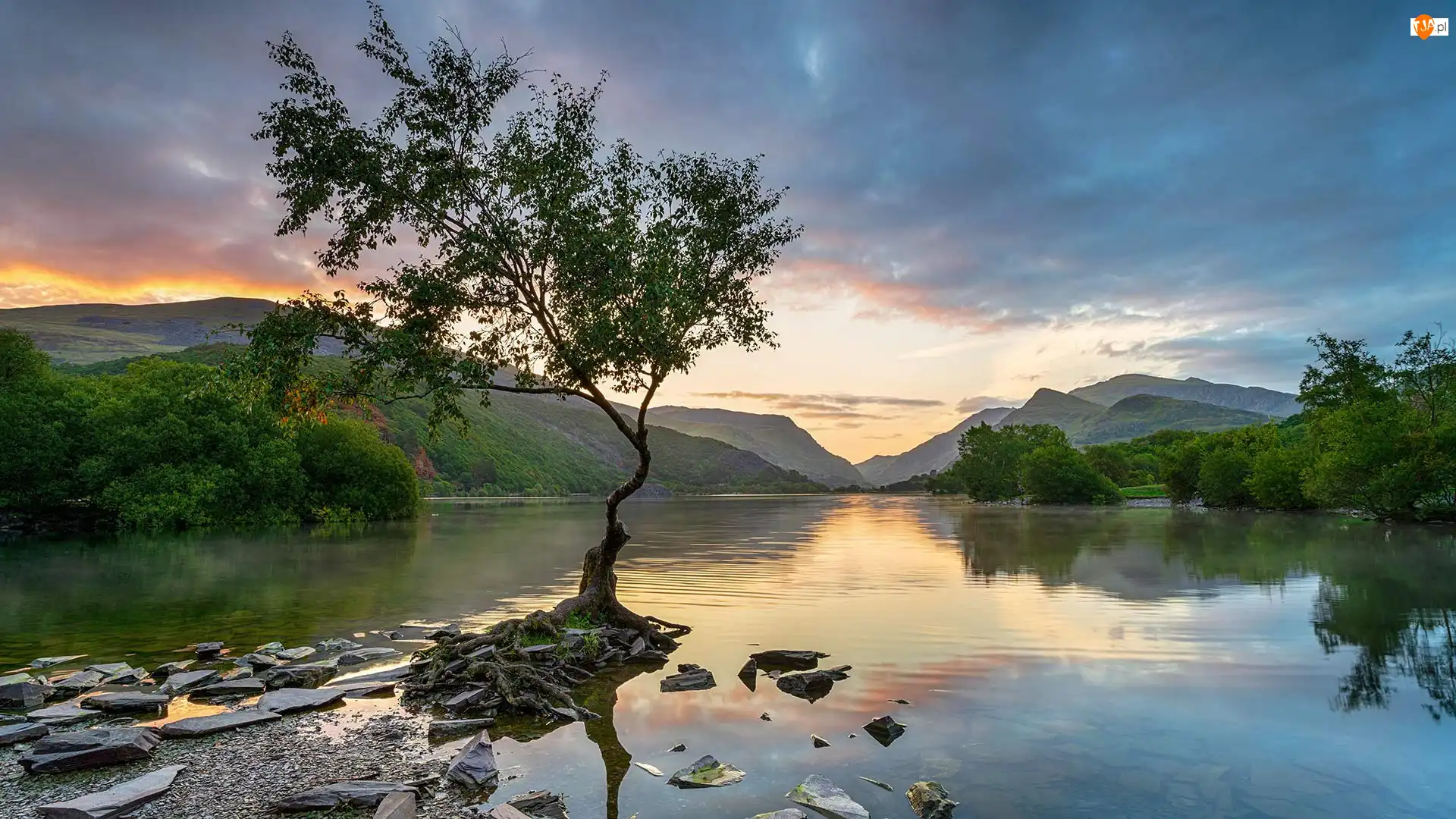 Zachód słońca, Walia, Kamienie, Góry, Drzewo, Park Narodowy Snowdonia, Jezioro, Wielka Brytania, Llyn Padarn
