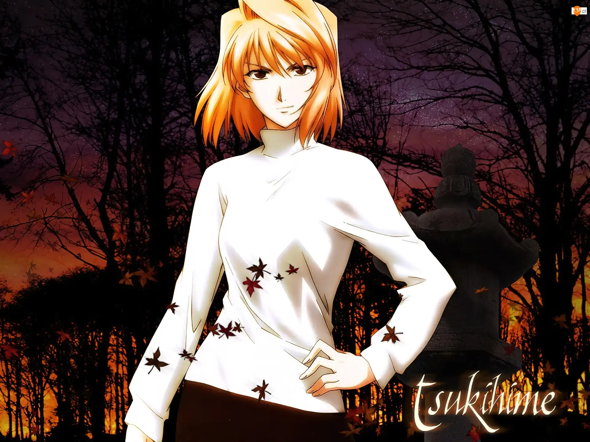 drzewa, Shingetsutan Tsukihime, biała bluzka
