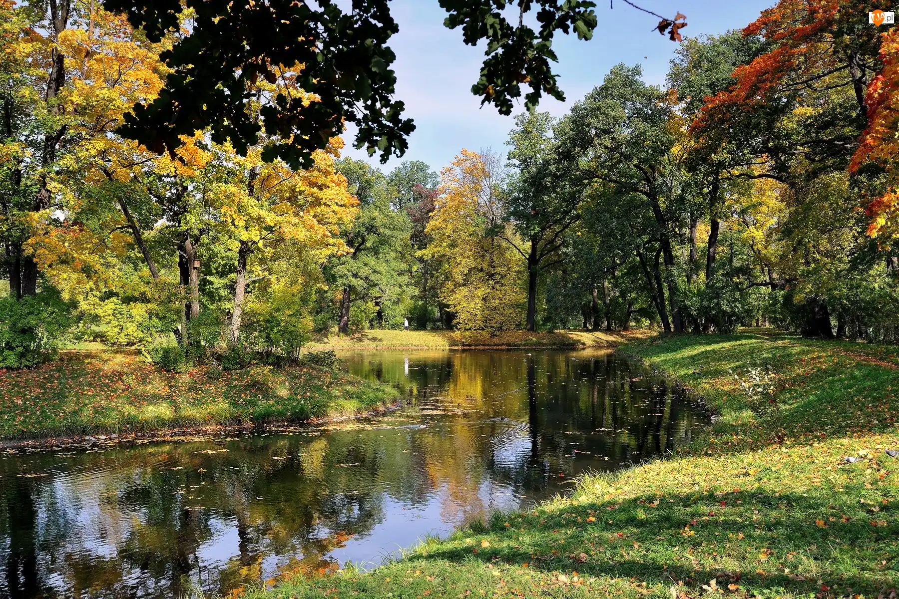 Park, Rzeka, Drzewa, Jesień, Kolorowe, Liście