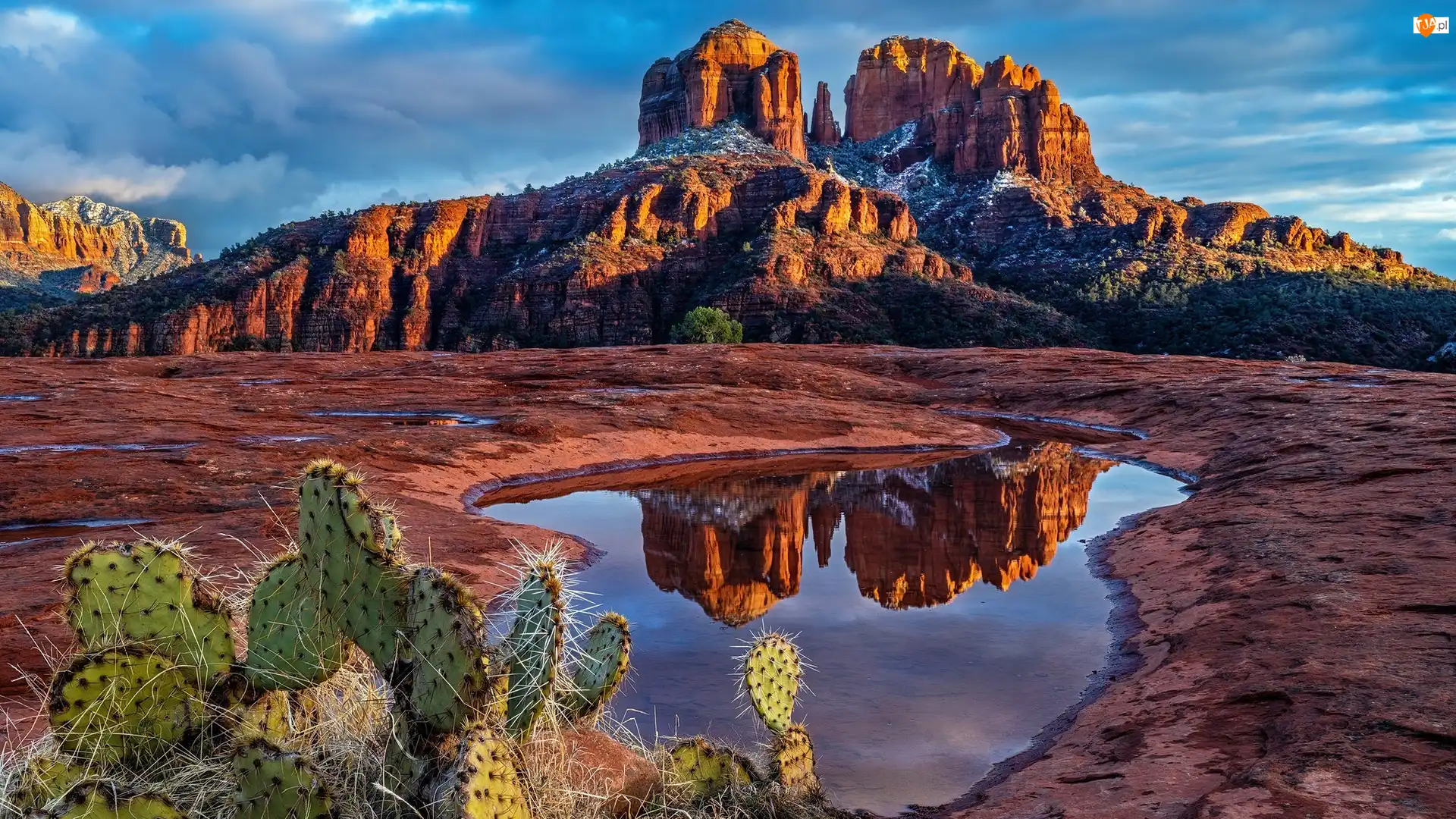 Stany Zjednoczone, Skały, Arizona, Cathedral Rock, Sedona, Góra, Kałuża, Czerwone, Kaktusy