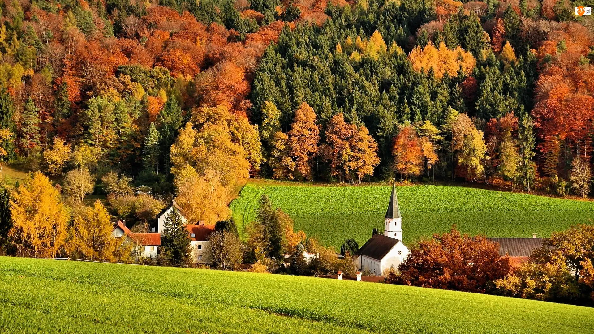 Wieś, Jesień, Las, Kościół