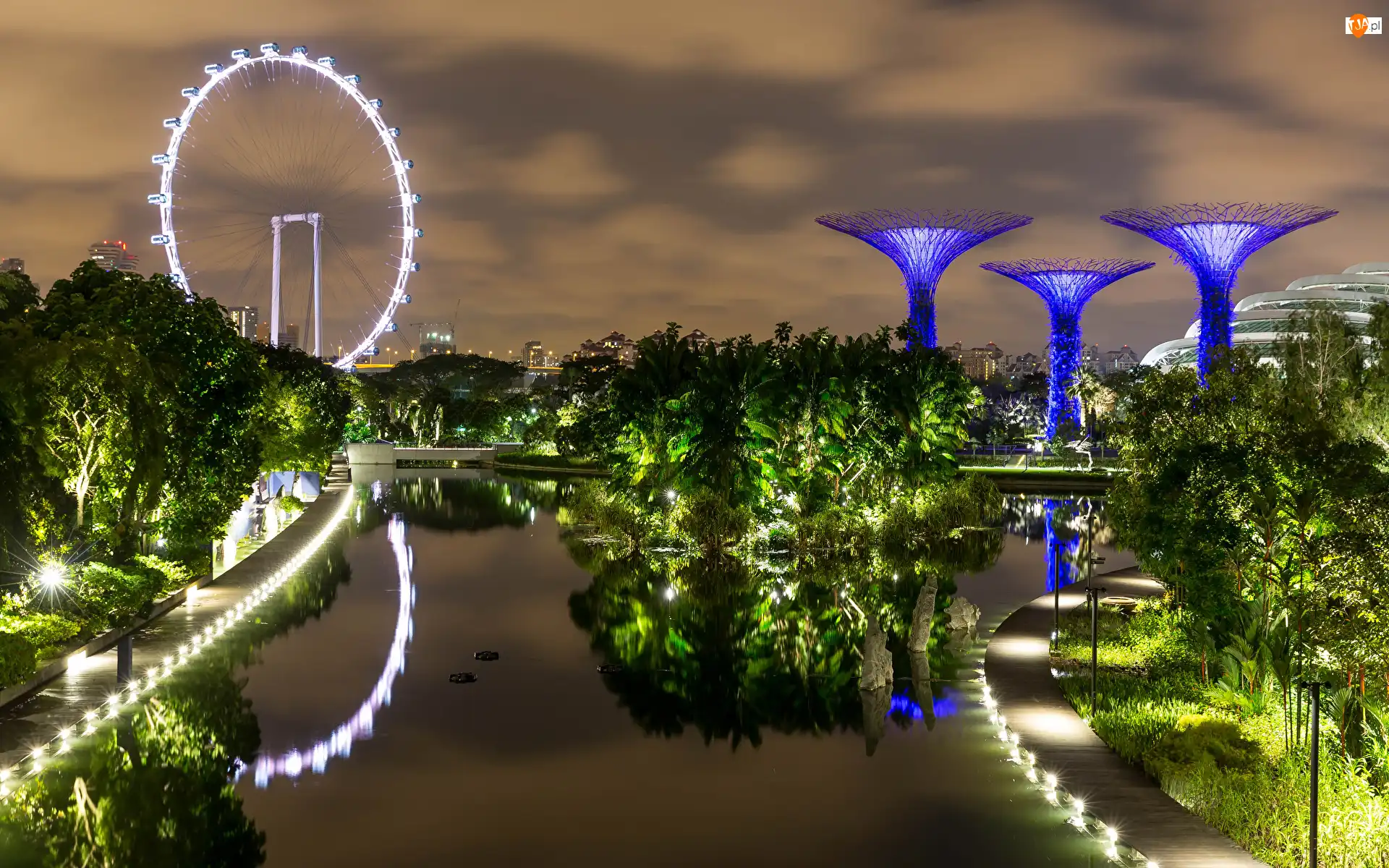 Singapur, Staw, Ogród, Gardens by the Bay
