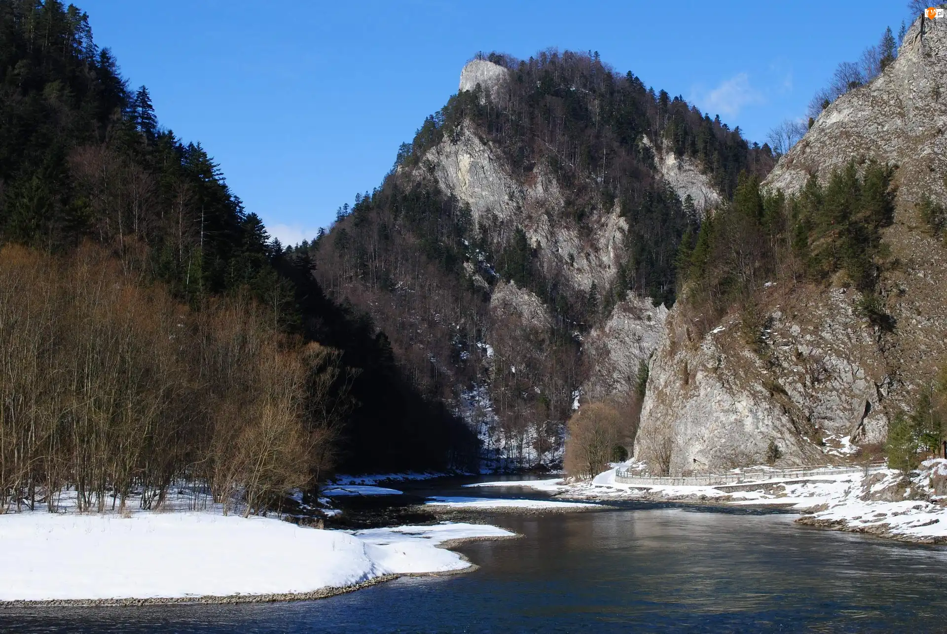 Rzeka, Szczawnica, Polska, Góry