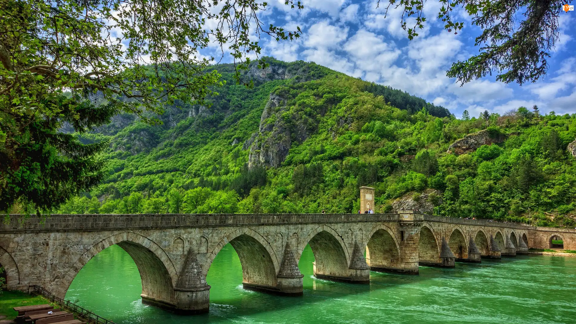 Mehmeda Paszy Sokolovicia, Rzeka Drina, Bośnia i Hercegowina, Most łukowy, Visegrad, Drzewa, Góry