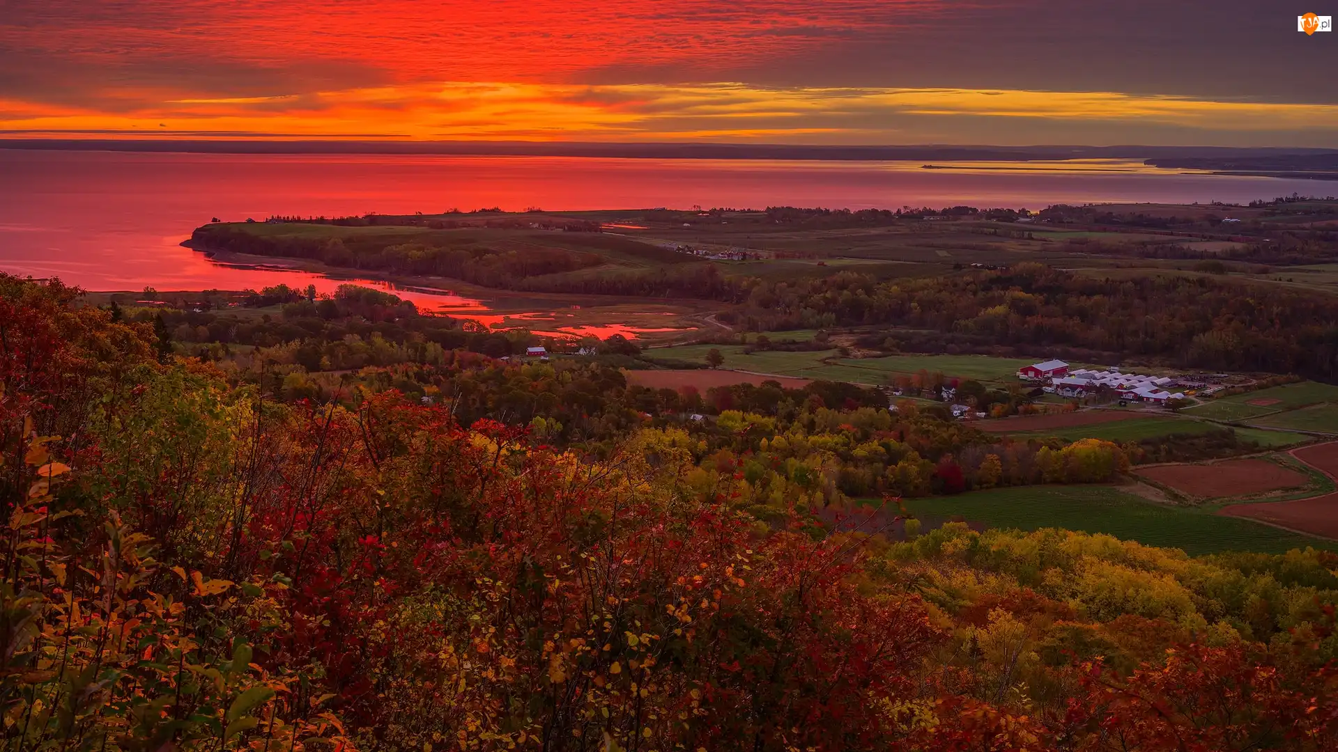 Jesień, Kanada, Lasy, Morze, Nowa Szkocja, Drzewa, Wschód słońca, Annapolis Valley