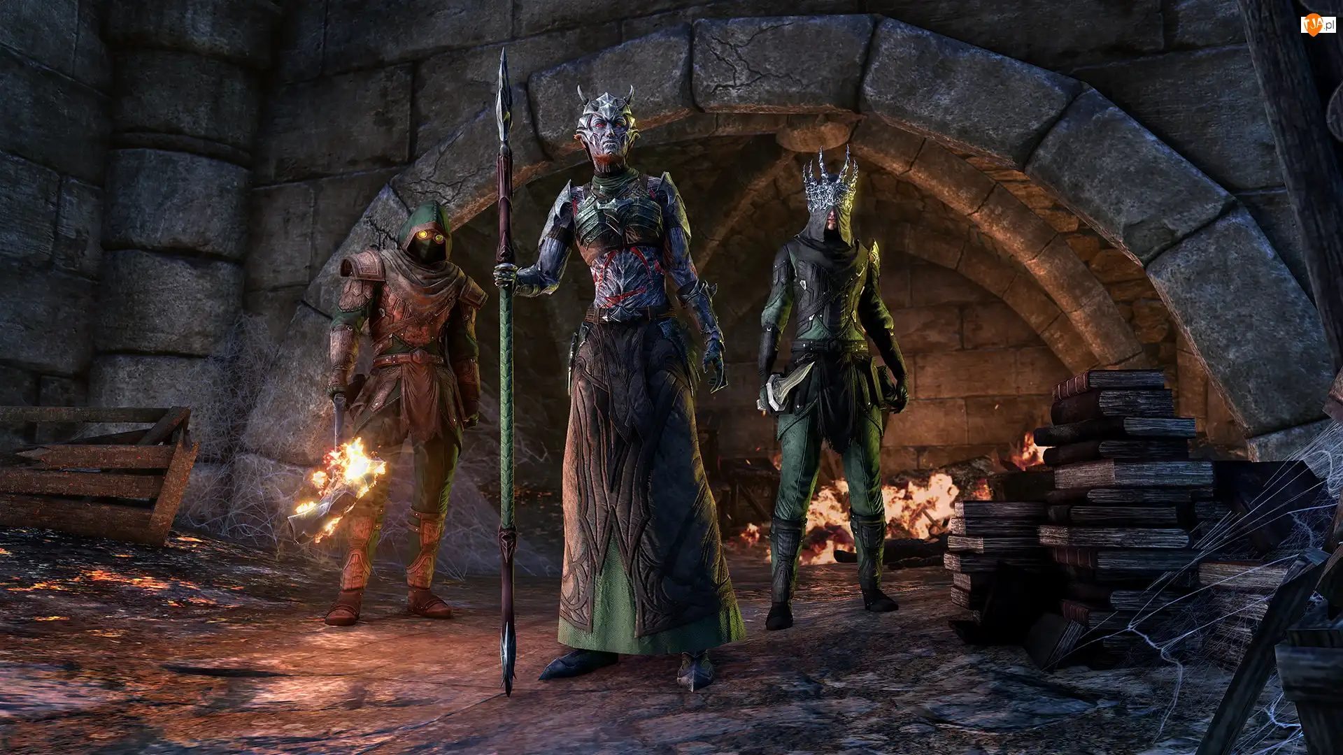 Postacie, The Elder Scrolls Online Blackwood, Trzy