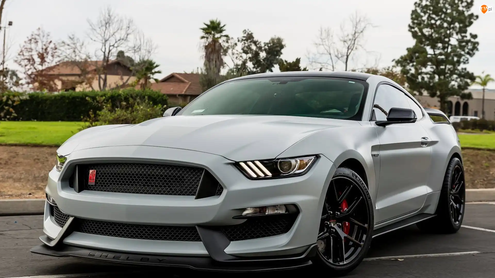 2018, Ford Mustang GT350R