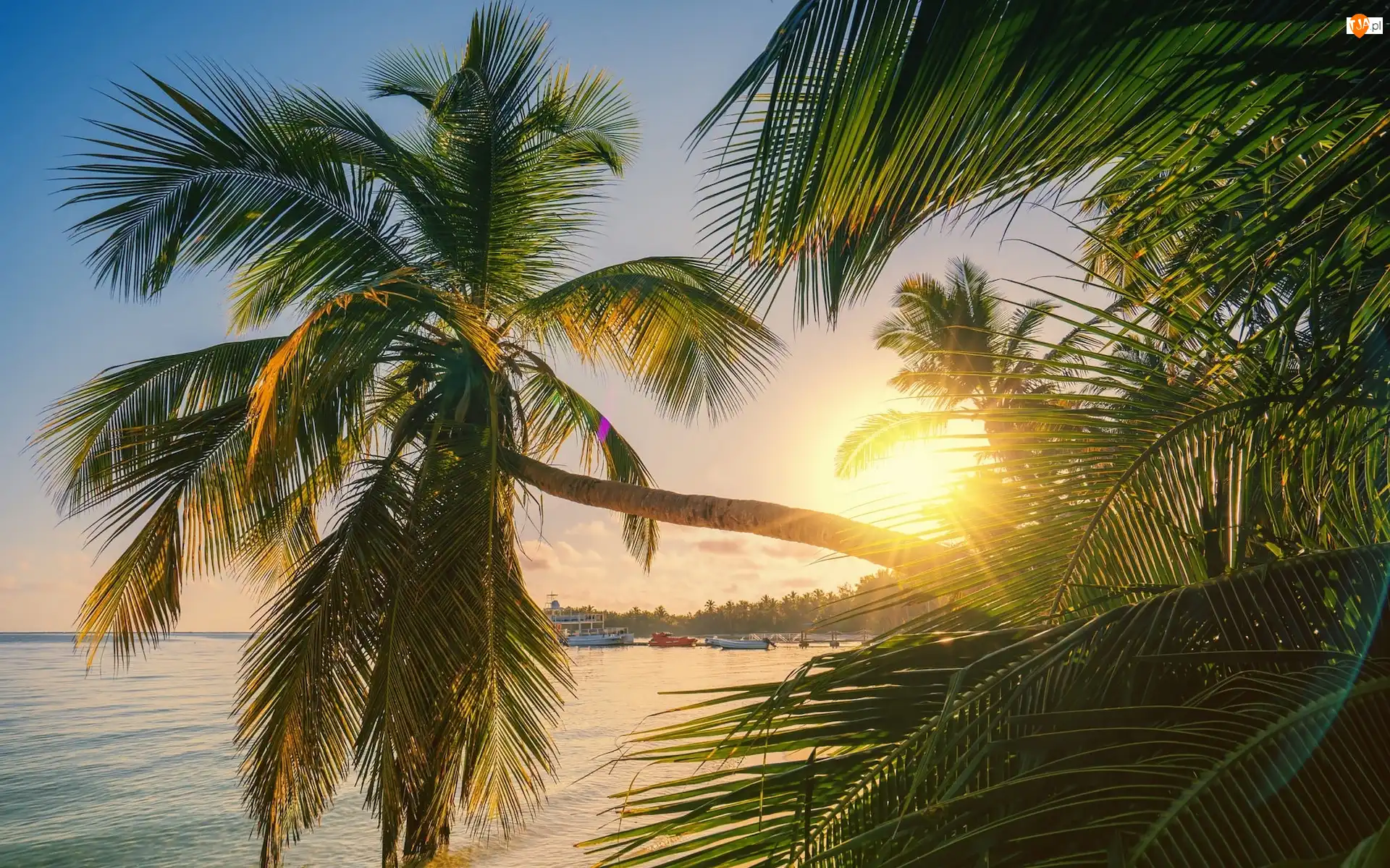 Punta Cana, Dominikana, Plaża, Promienie słońca, Morze, Palmy