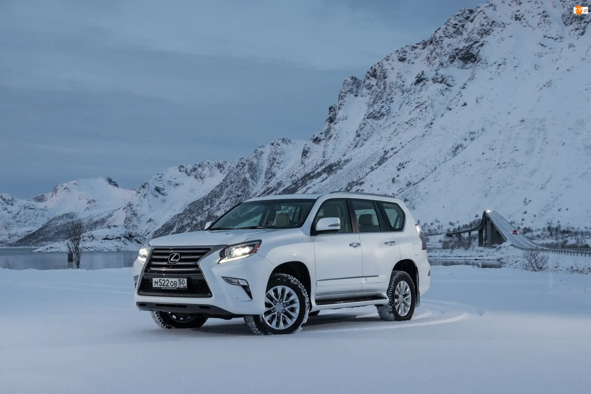 2014, Biały, Lexus GX 460