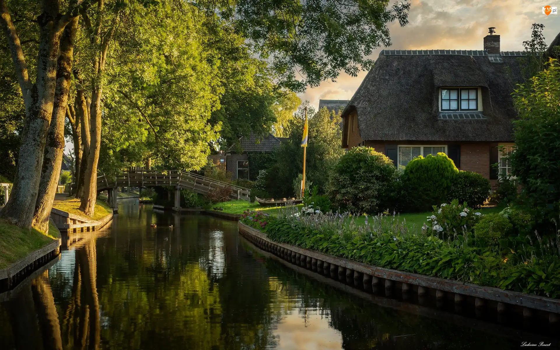 Dom, Most, Holandia, Rzeka, Prowincja Overijssel, Giethoorn, Drzewa