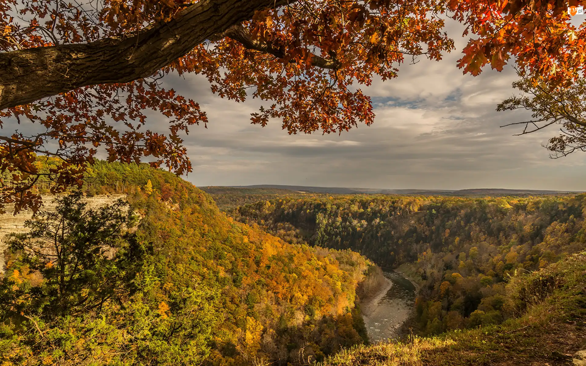 Rzeka, Góry, Chmury, Jesień, Gałęzie, Drzewa, Lasy