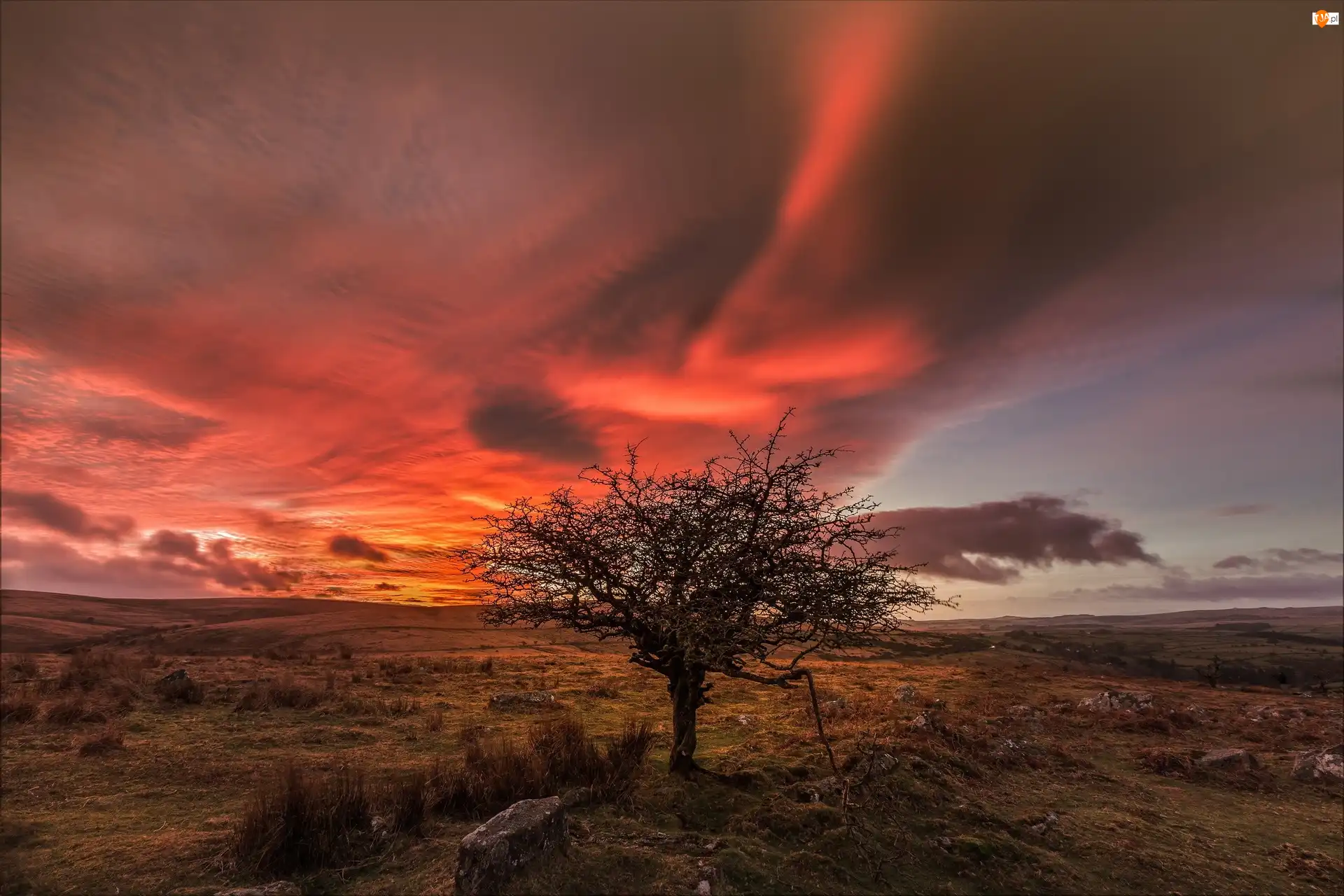 Park Narodowy Dartmoor, Zachód Słońca, Kamienie, Anglia, Drzewo, Chmury, Łąki