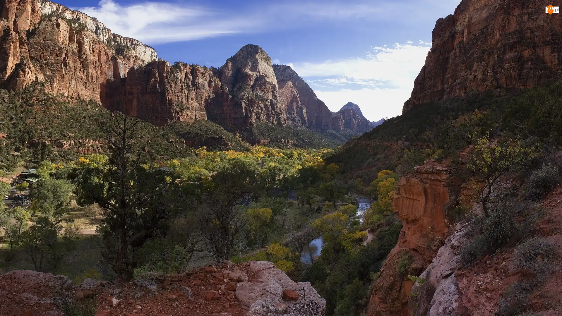 Stany Zjednoczone, Skały, Utah, Rośliny, Park Narodowy Zion, Rzeka, Virgin River, Góry, Drzewa