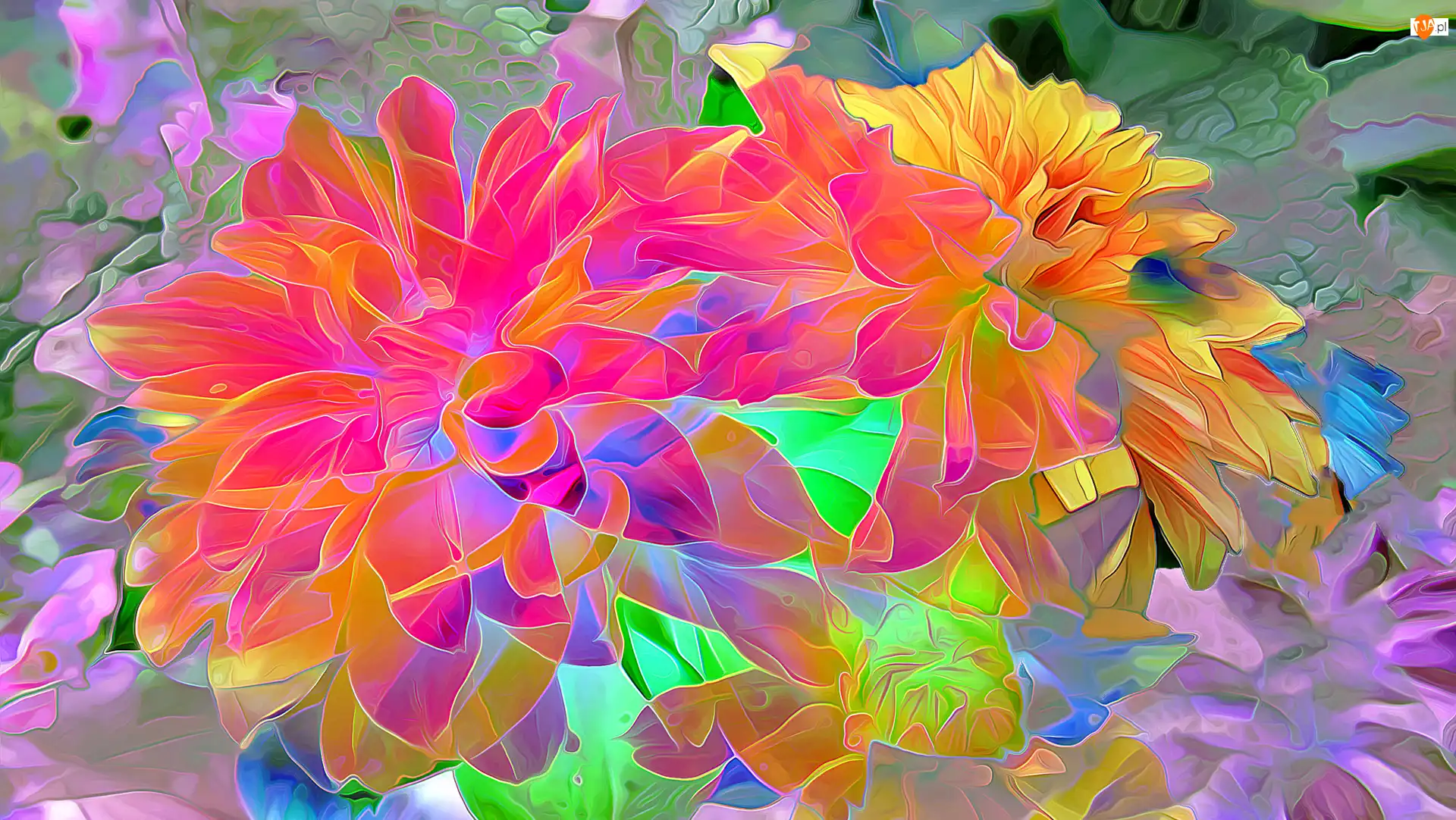 Fractalius, Kolorowe, Kwiaty