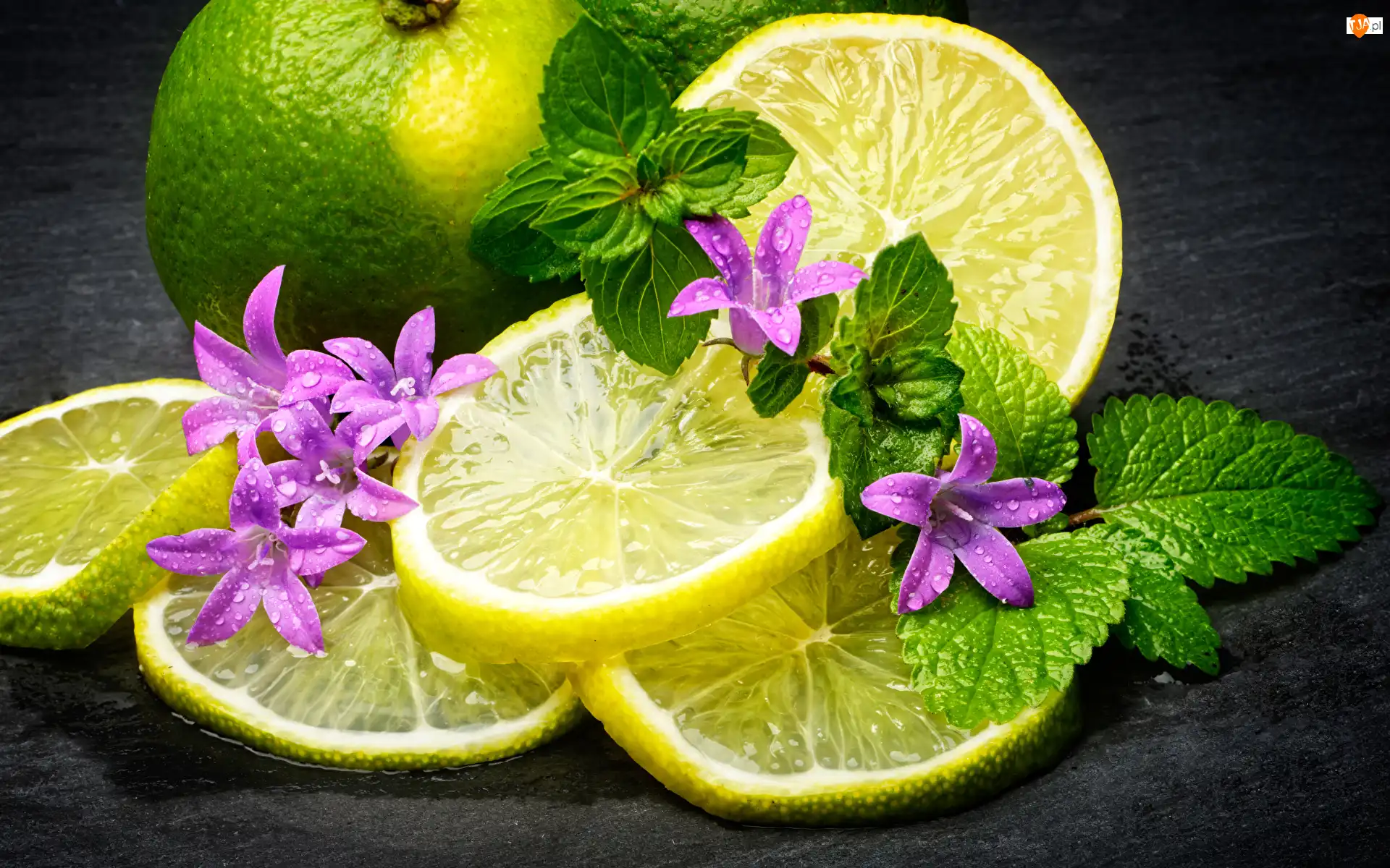 Plasterki, Limonka, Dzwonki, Mięta, Kwiaty, Liście
