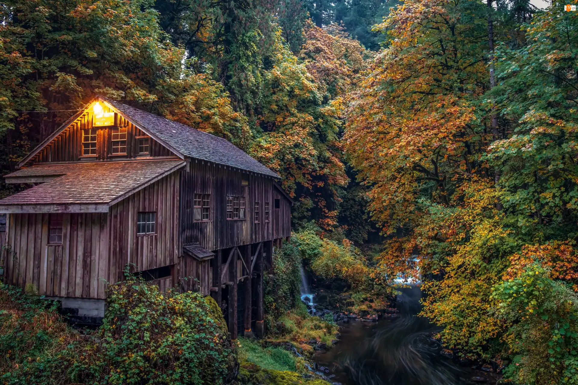 Stan Waszyngton, Stany Zjednoczone, Rzeka, Jesień, Młyn Cedar Creek Grist Mill, Las