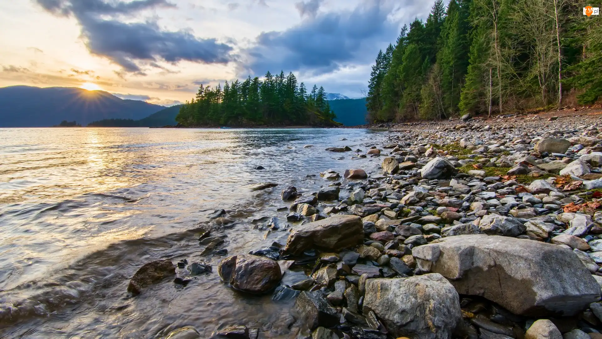 Kolumbia Brytyjska, Kanada, Promienie słońca, Park prowincjonalny Sasquatch, Drzewa, Jezioro Harrison Lake, Kamienie