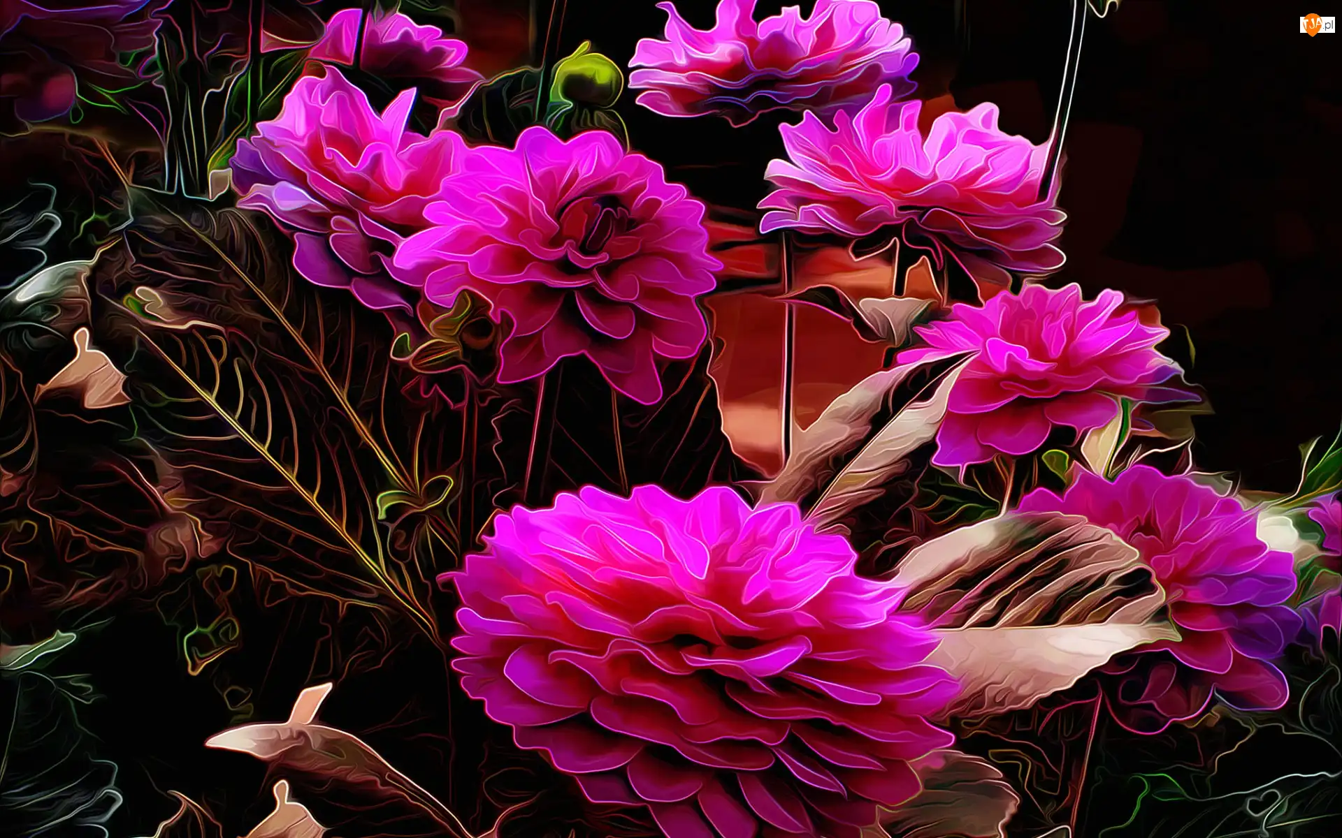 Różowe, Liście, Bukiet, Fractalius, Kwiaty