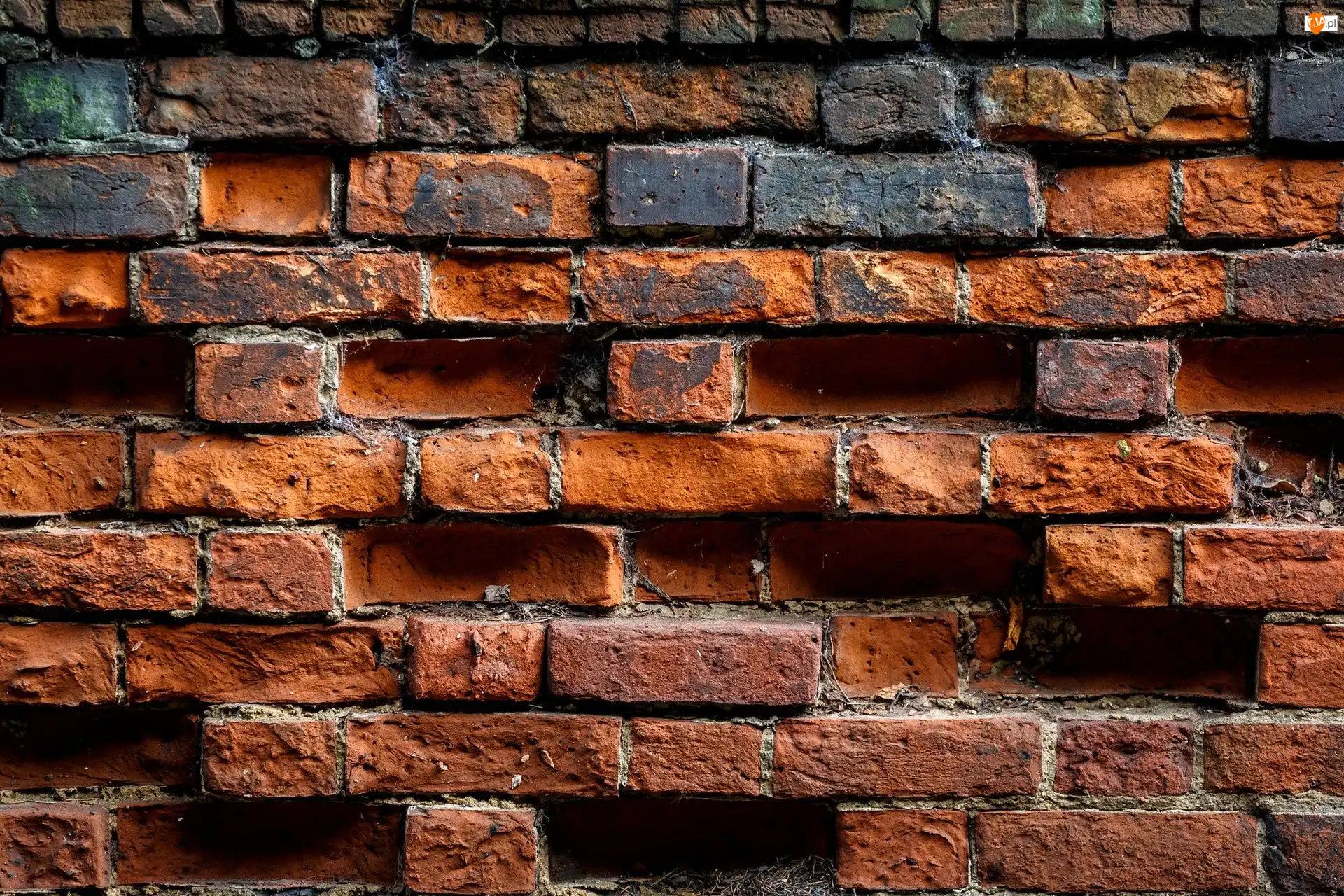 Cegły, Tekstury, Mur
