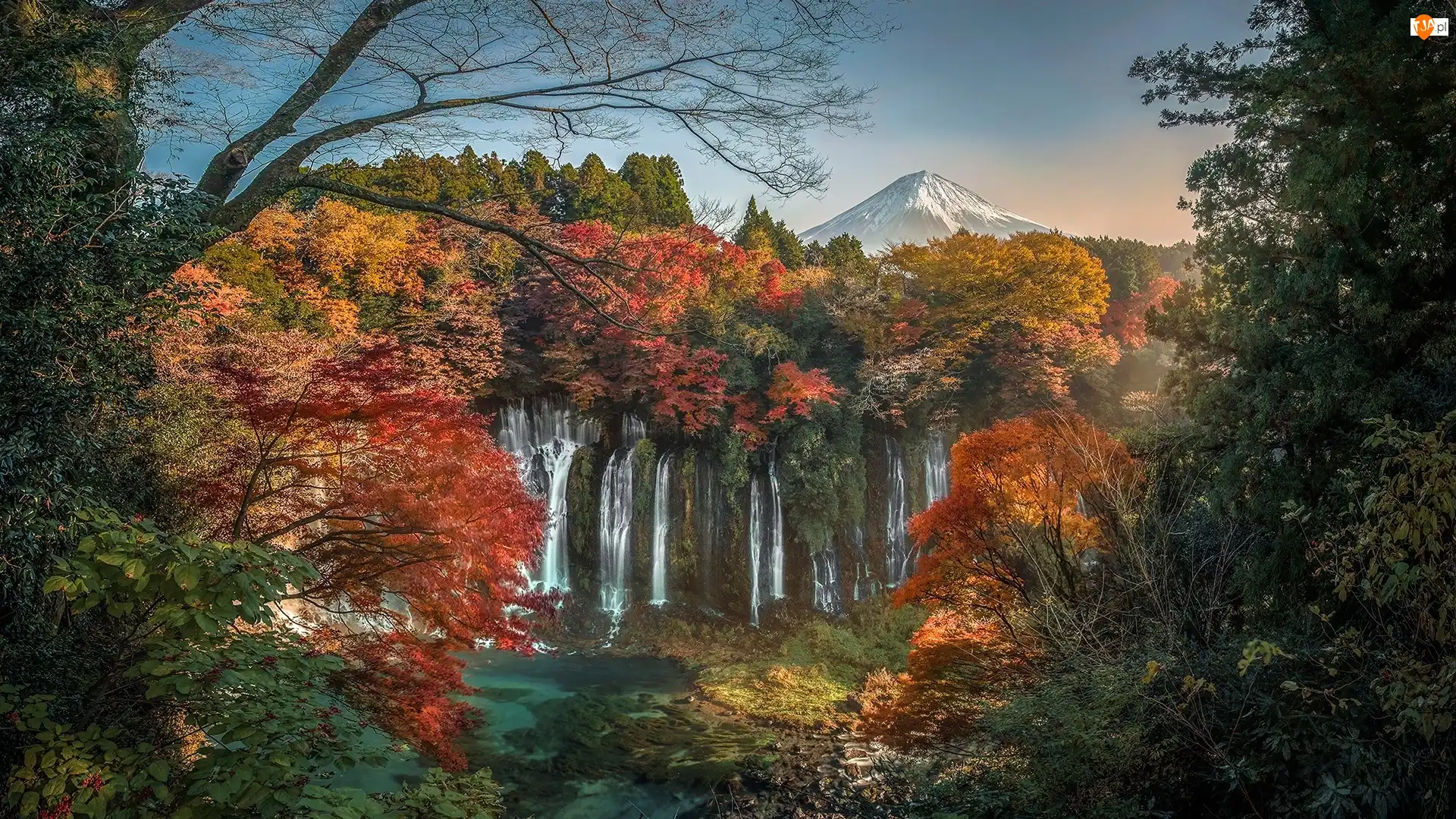 Wodospad Shiraito, Jesień, Gałęzie, Park Narodowy Fudżi-Hakone-Izu, Liście, Wieczór, Japonia, Drzewa