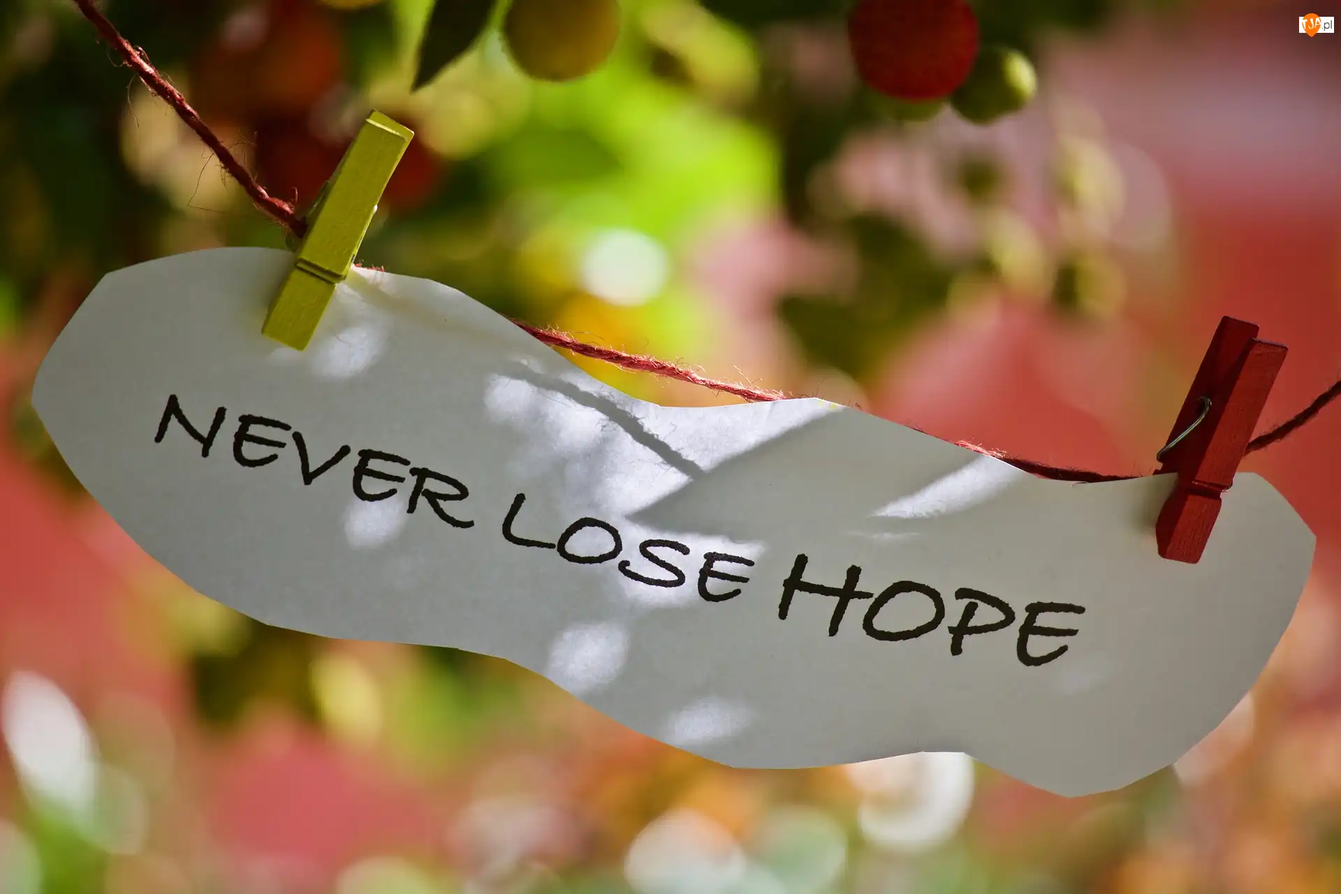 Never lose hope, Wiadomość, Słowa, Napis