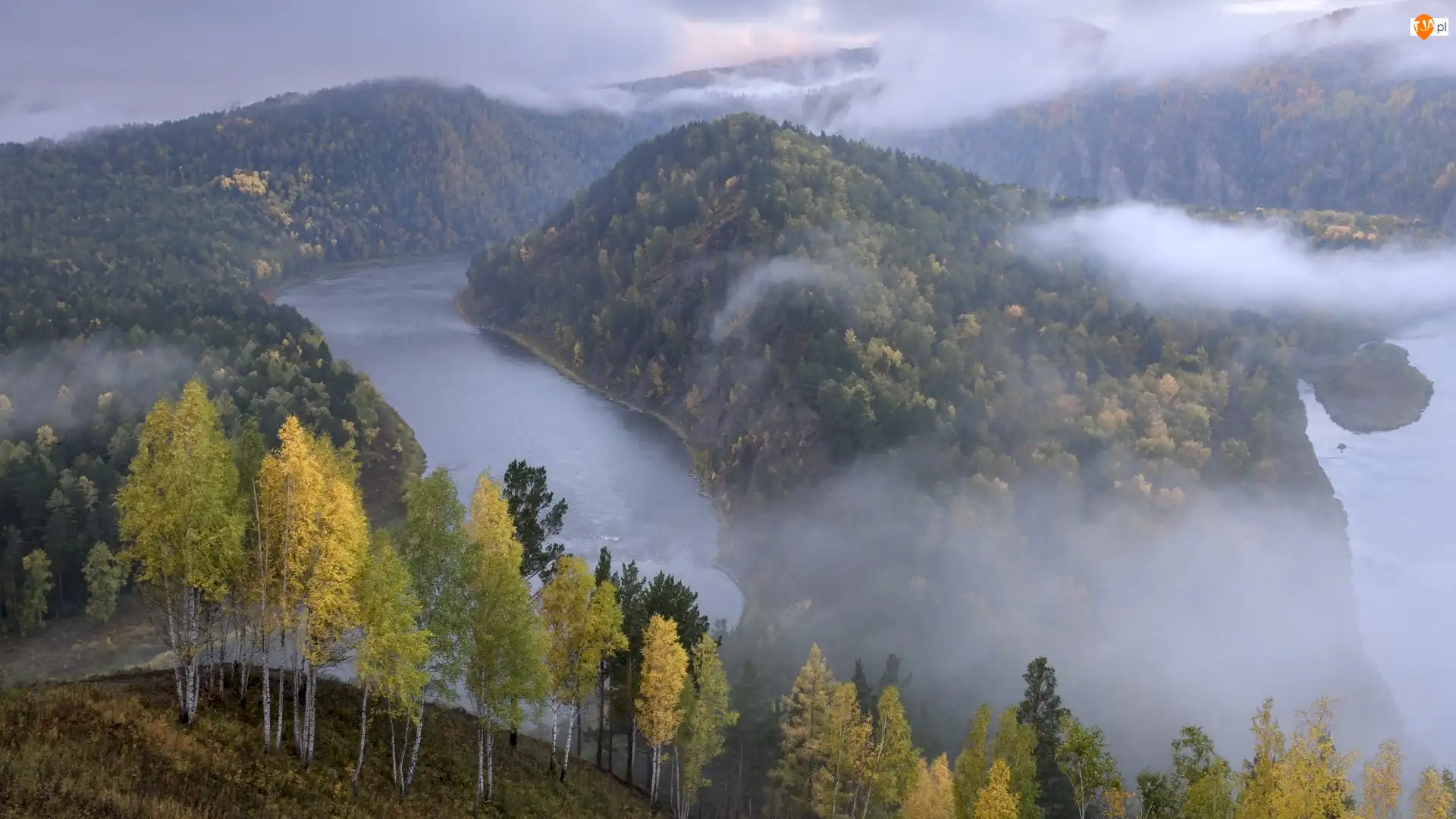 Lasy, Mgła, Rosja, Rzeka Mana, Kraj Krasnojarski, Drzewa, Góry