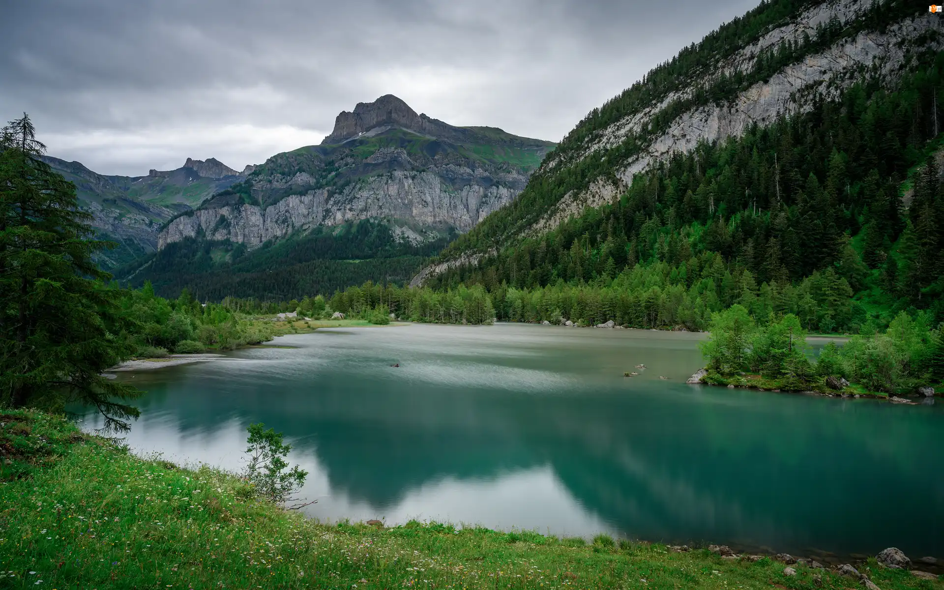 Kanton Valais, Góry, Lasy, Szwajcaria, Lac de Derborence, Jezioro, Alpy Berneńskie