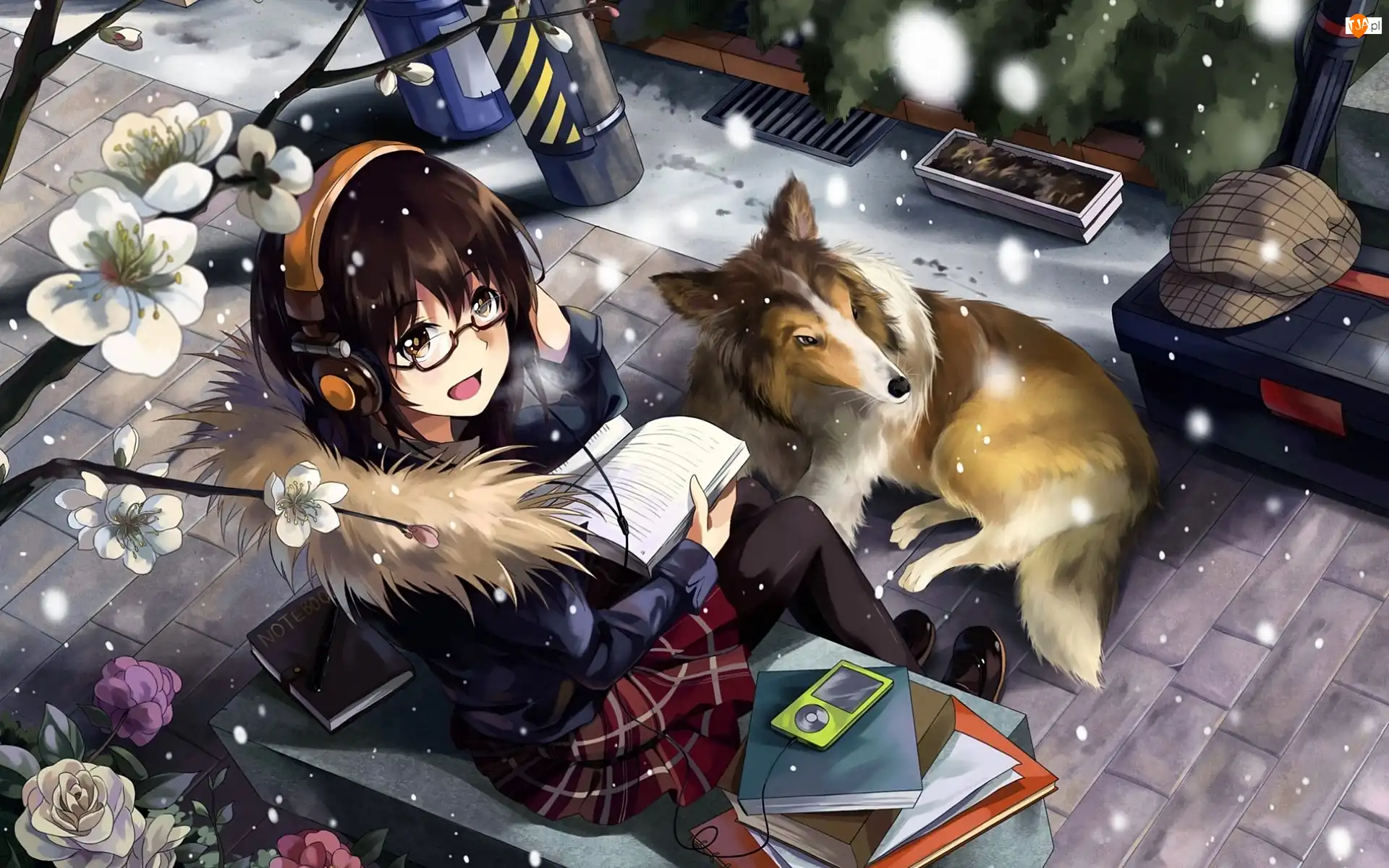 Słuchawki, Manga Anime, Pies, Dziewczyna, Książki