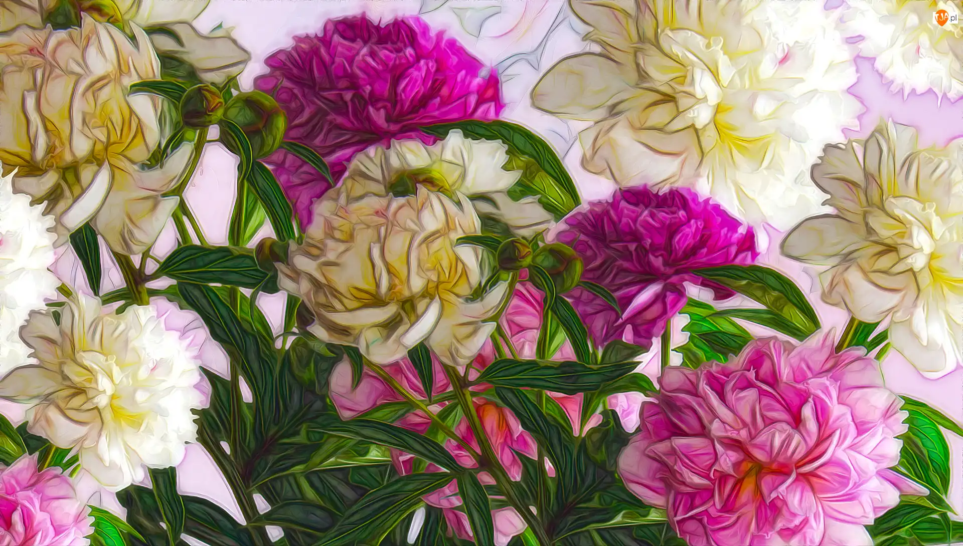 Fractalius, Kwiaty, Piwonie