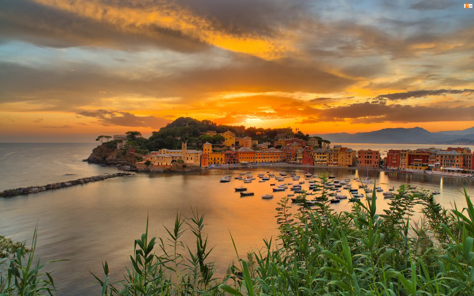 Łódki, Włochy, Morze, Domy, Prowincja Genua, Zatoka, Zachód słońca, Sestri Levante