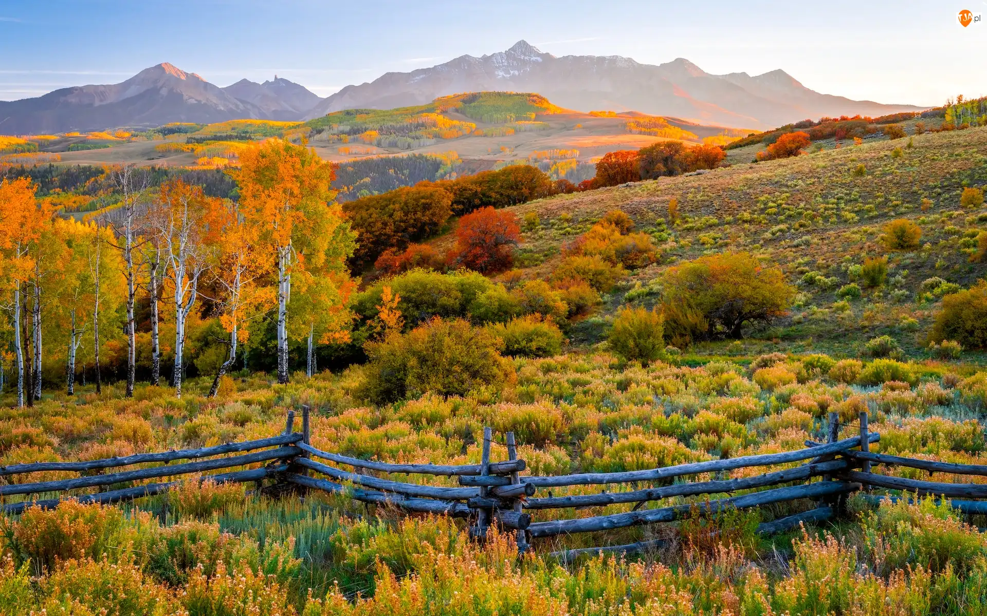 Ogrodzenie, Stan Kolorado, Drzewa, San Juan Mountains, Kolorowe, Telluride, Jesień, Stany Zjednoczone, Góry