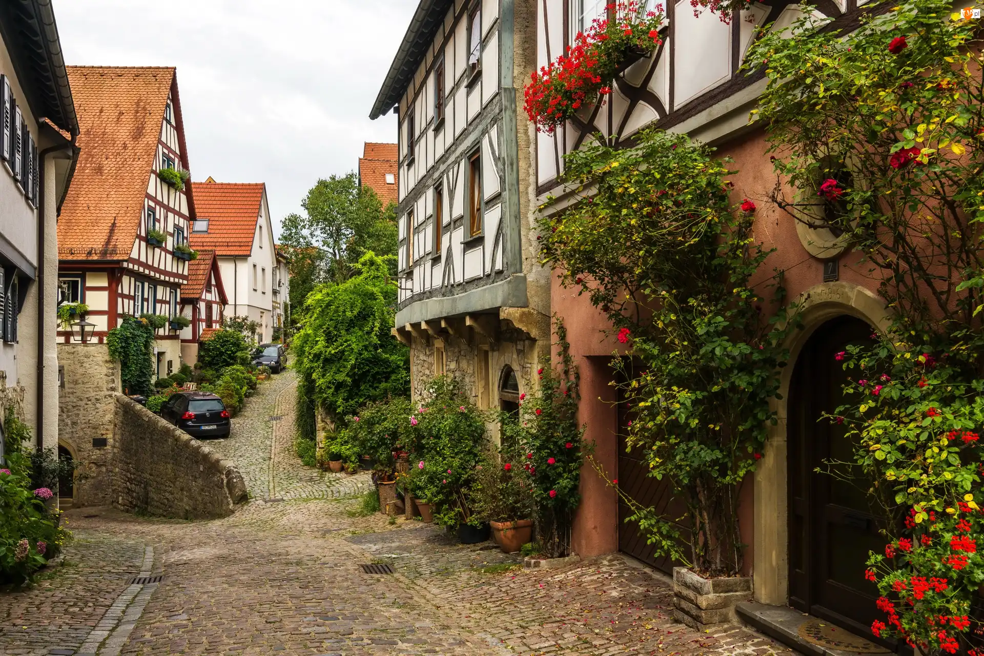 Uliczka, Niemcy, Wimpfen, Domy