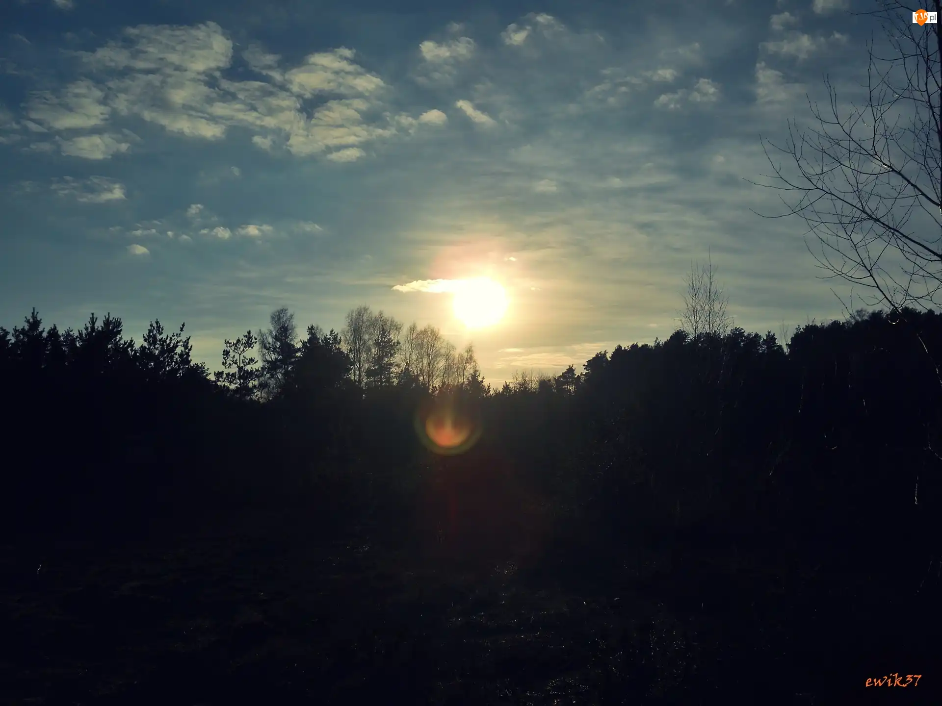 Chmury, Las, Słońce