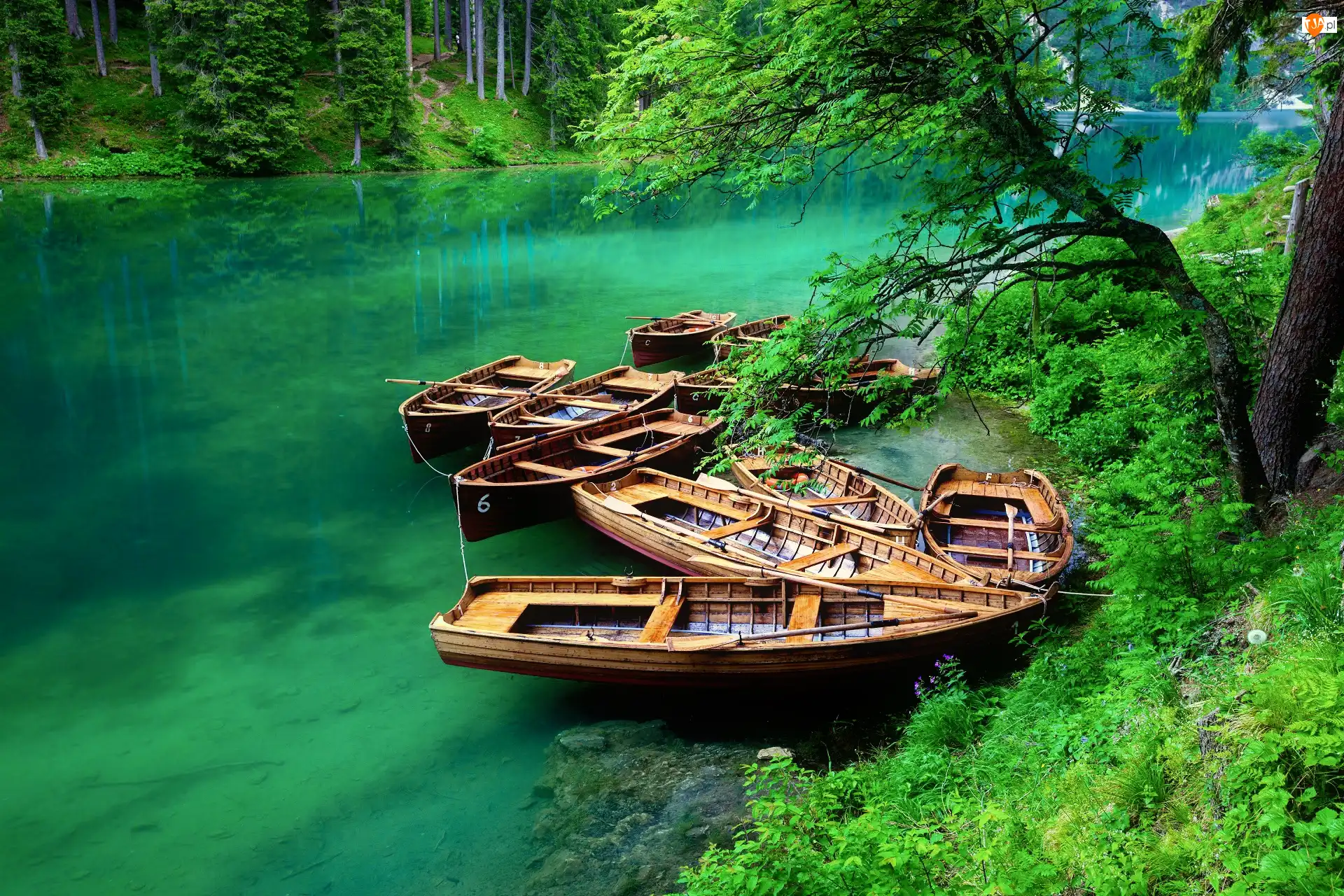 Jezioro Pragser Wildsee, Las, Południowy Tyrol, Włochy, Łódki