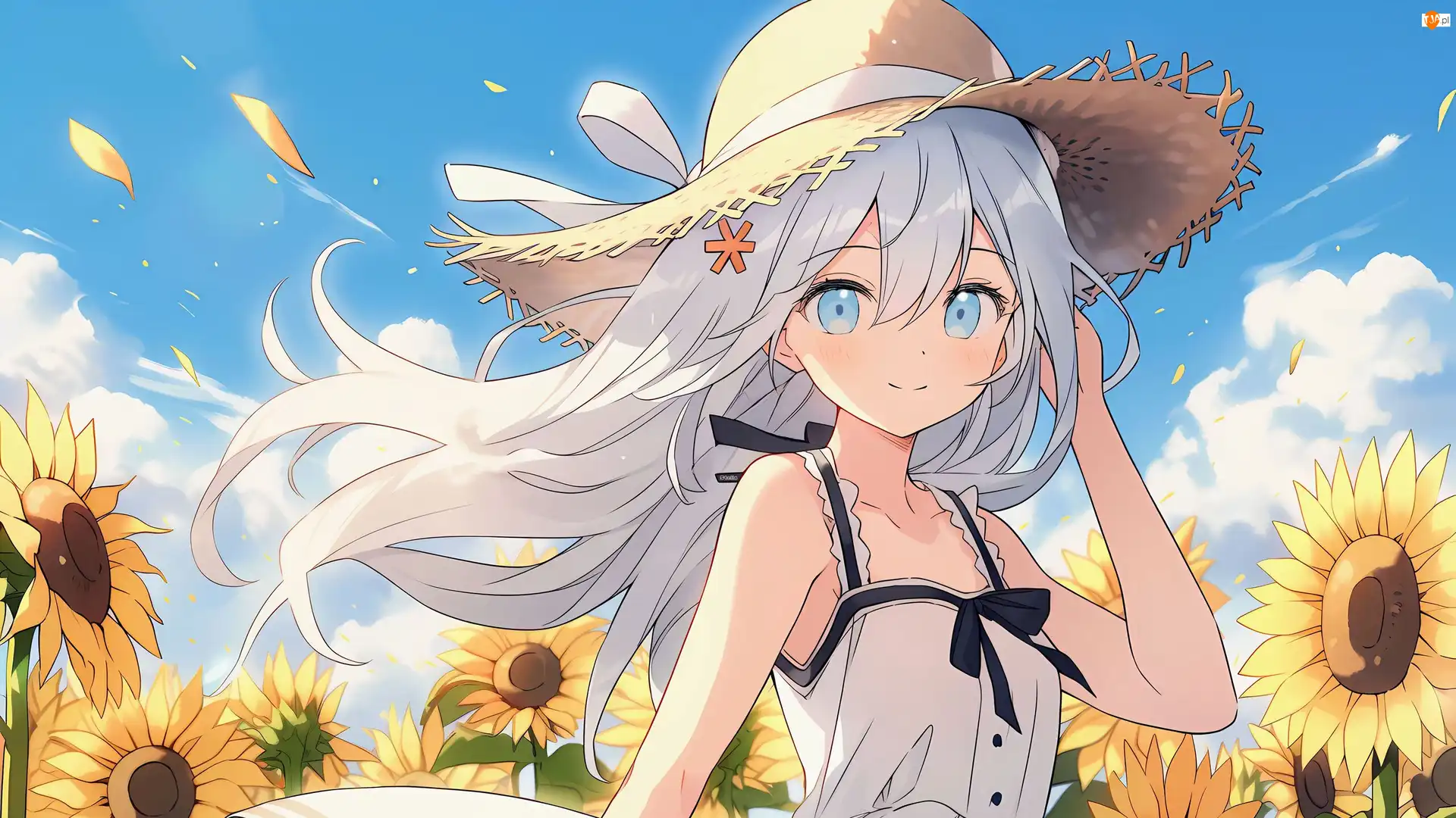 Uśmiech, Dziewczyna, Słoneczniki, Anime, Kapelusz, Lato