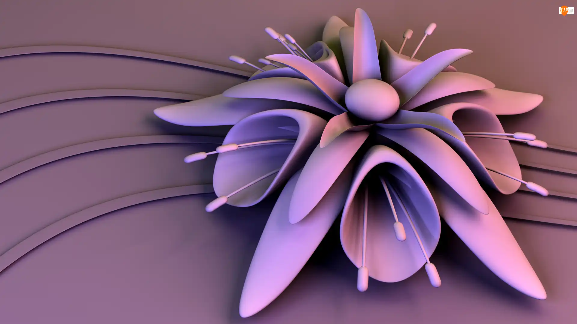 Kwiatek, Grafika 3D