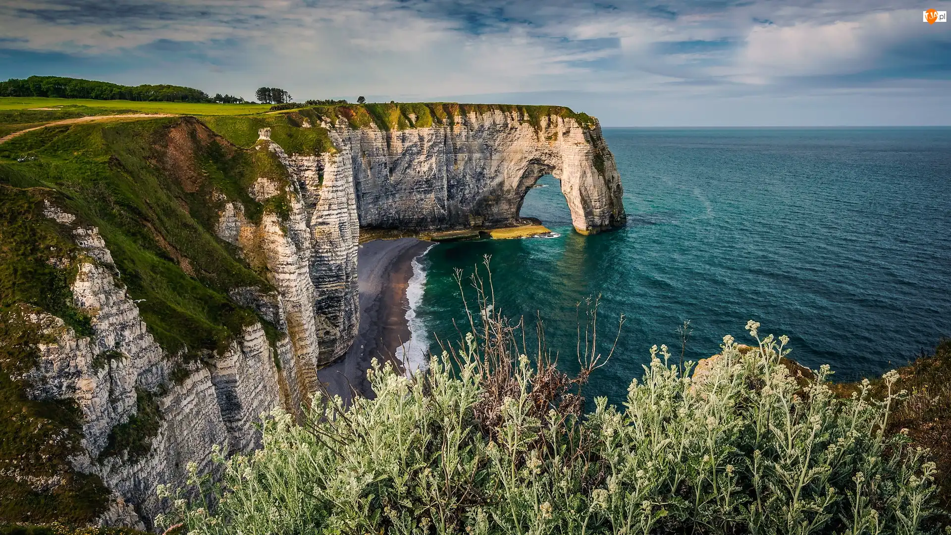 Etretat, Wybrzeże Alabastrowe, Skały, Normandia, Cote d Albatre, Morze, Francja, Klify
