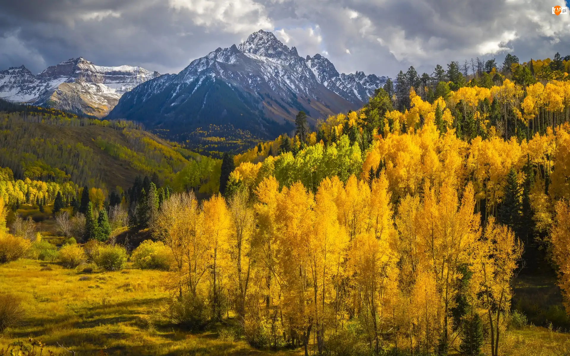 Chmury, Stany Zjednoczone, Drzewa, Góry Skaliste, Lasy, Kolorado, Szczyt, Jesień, Mount Sneffels