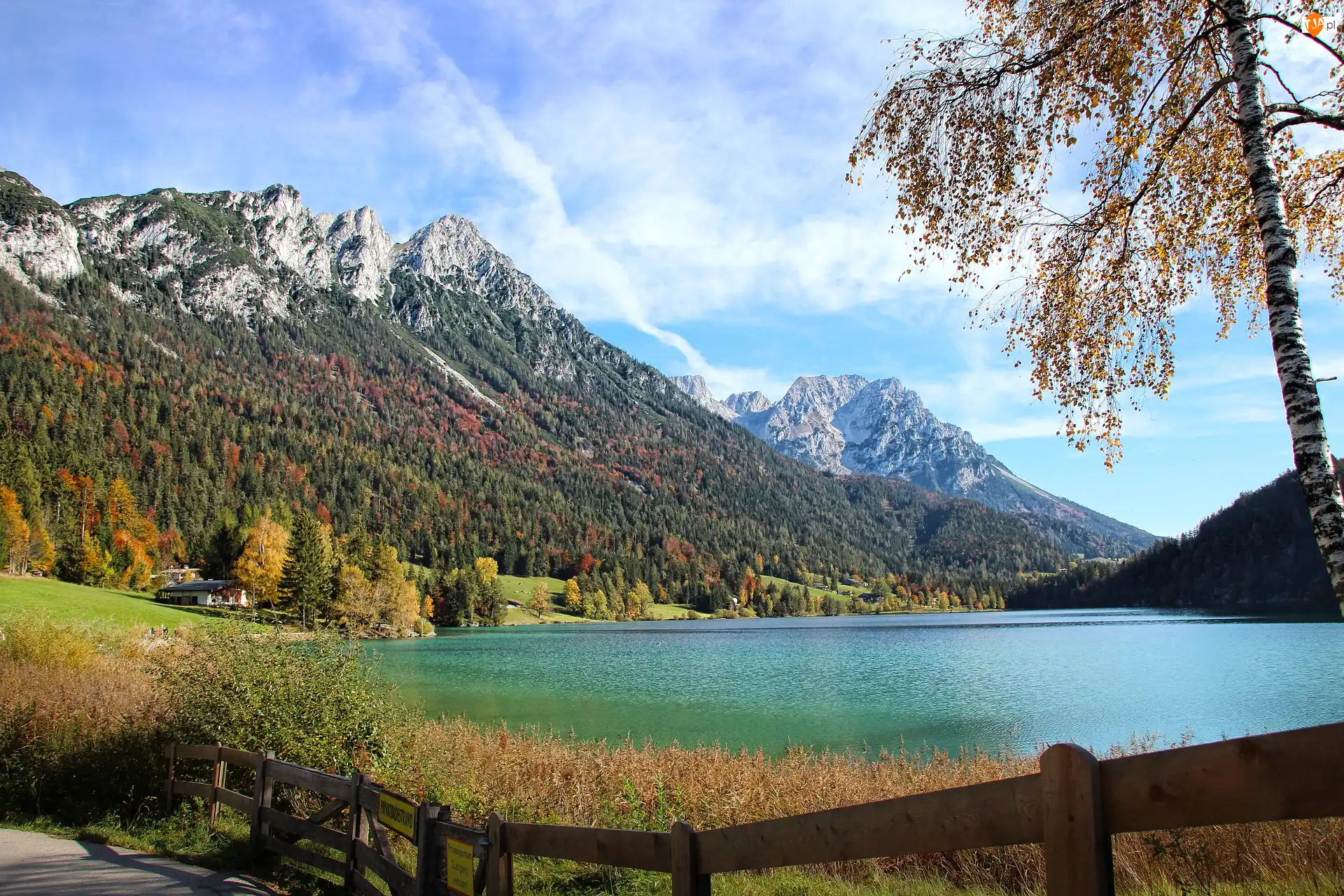 Ellmau, Góry Kaisergebirge, Jezioro, Austria, Drzewo, Gmina Ellmau