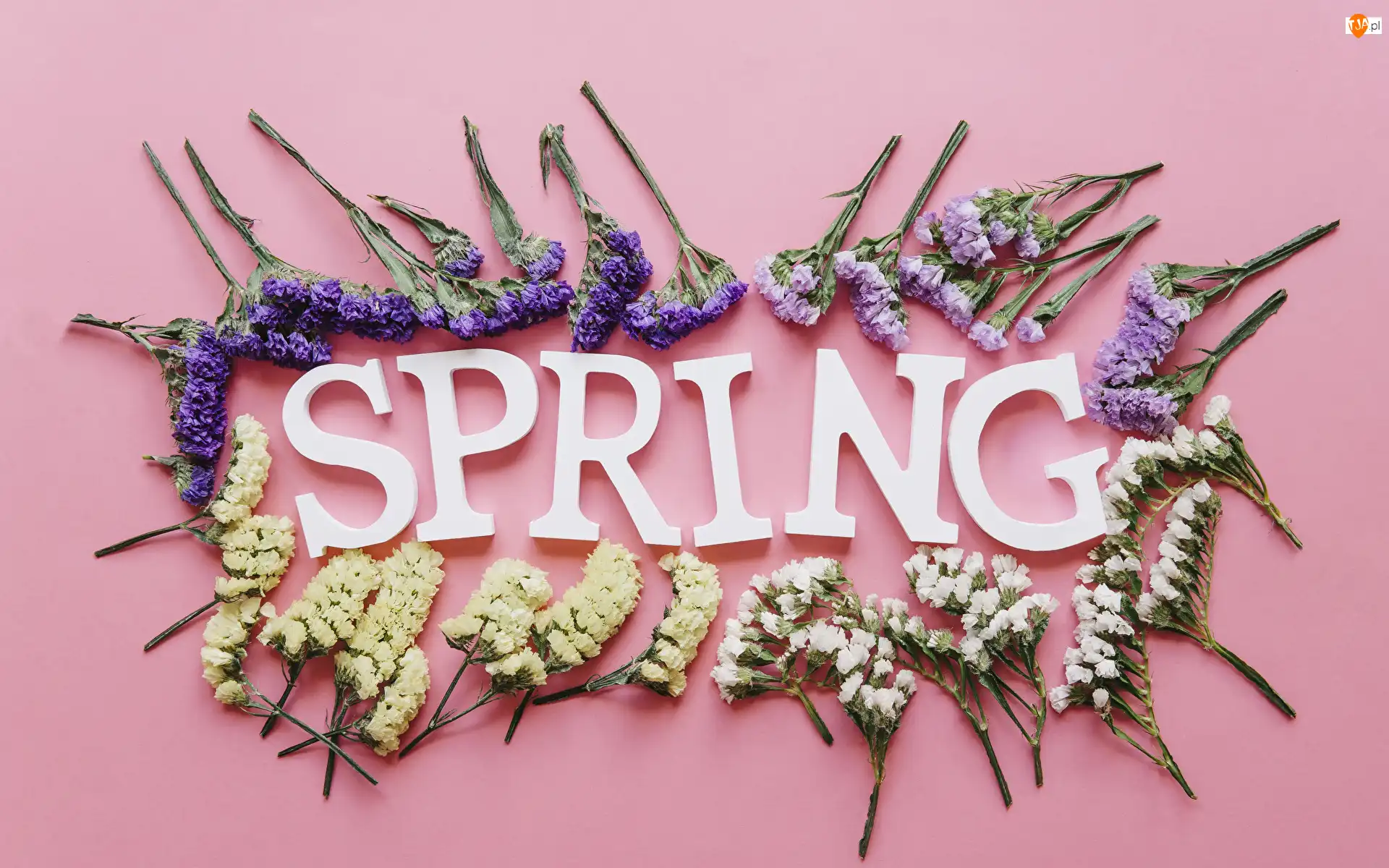Wiosna, Spring, Kwiaty, Tło, Napis, Różowe