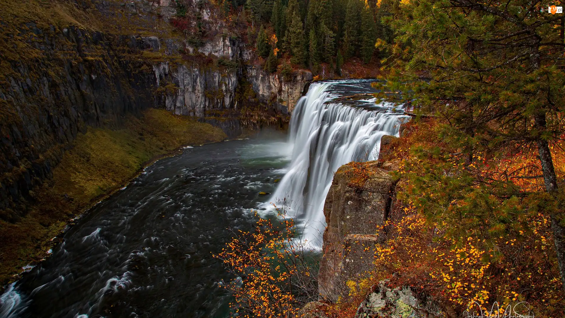 Stany Zjednoczone, Wodospad, Idaho, Skały, Rzeka, Upper Mesa Falls, Las, Jesień, Drzewa